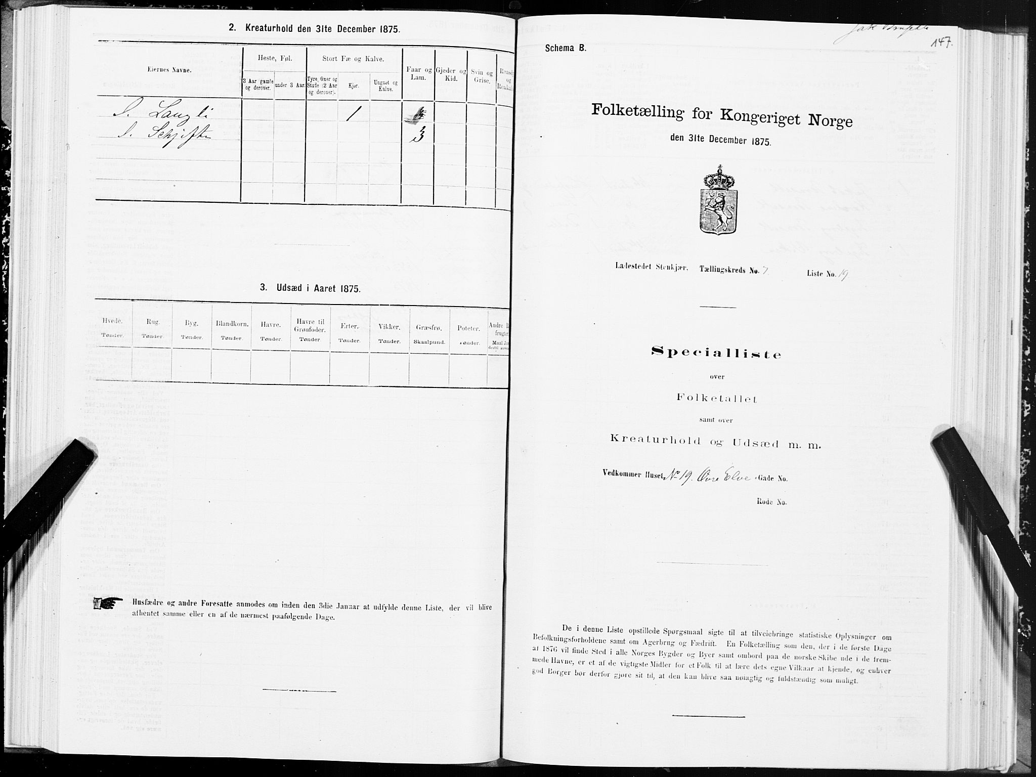 SAT, 1875 census for 1702B Steinkjer/Steinkjer, 1875, p. 147