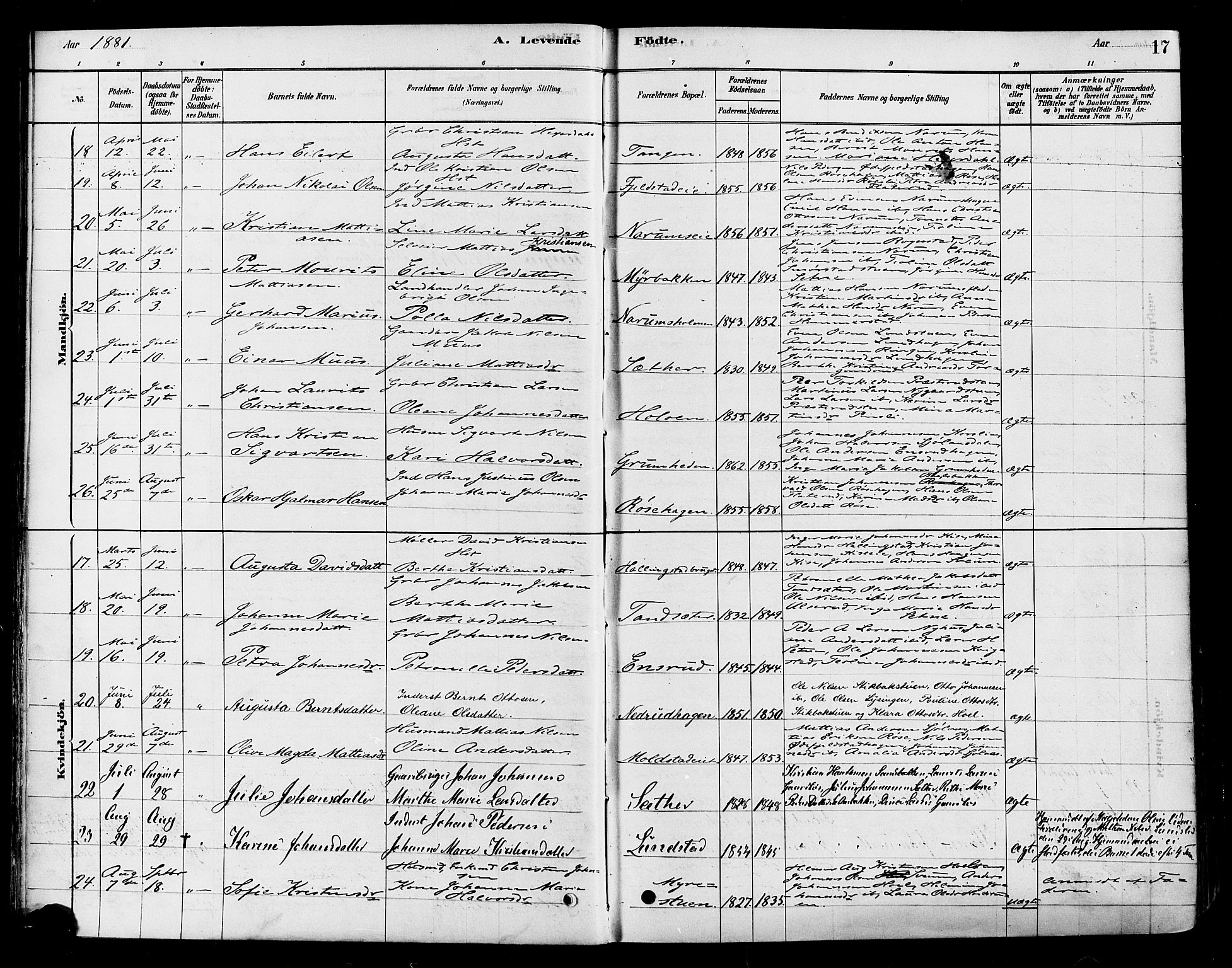 Vestre Toten prestekontor, AV/SAH-PREST-108/H/Ha/Haa/L0010: Parish register (official) no. 10, 1878-1894, p. 17