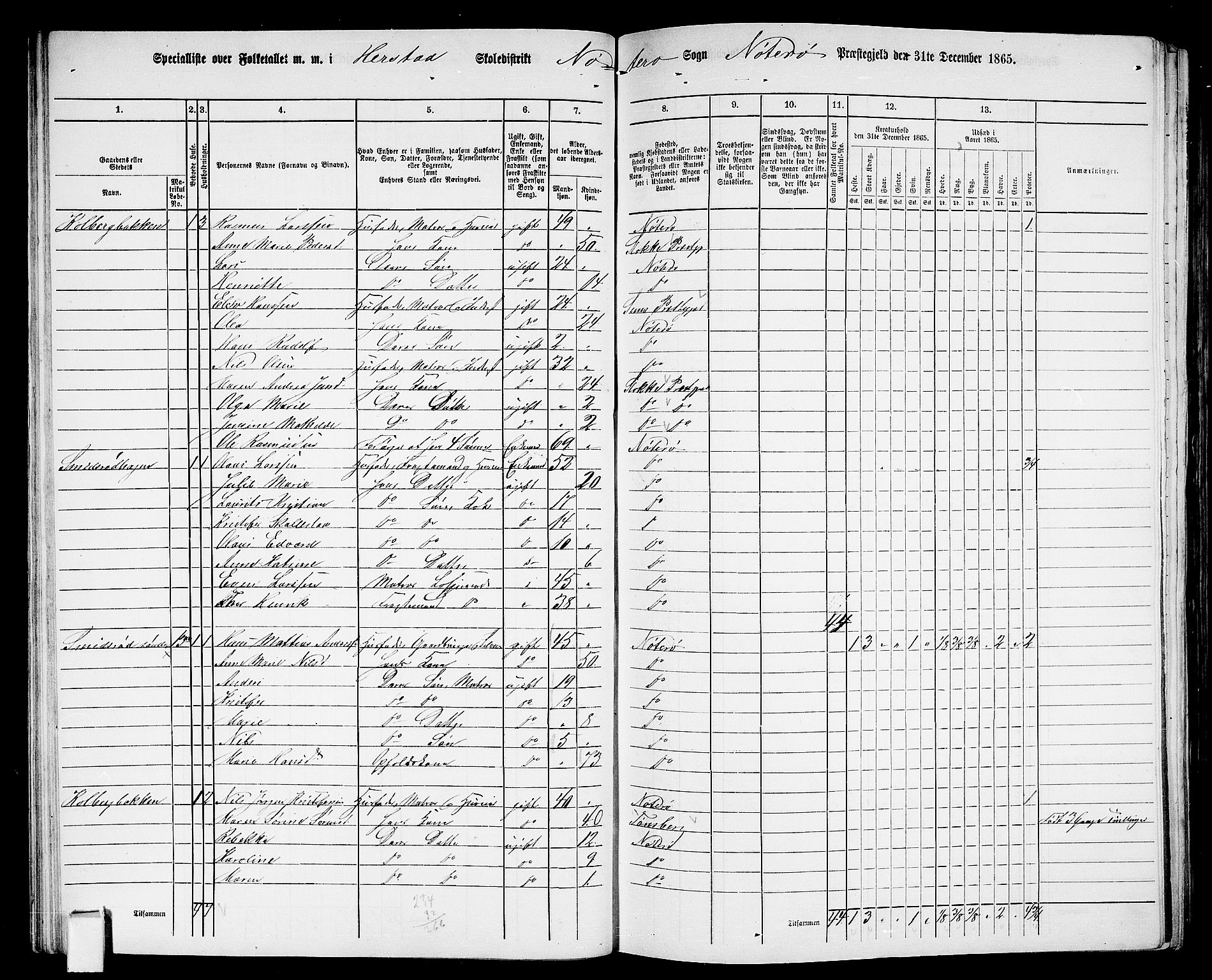 RA, 1865 census for Nøtterøy, 1865, p. 47