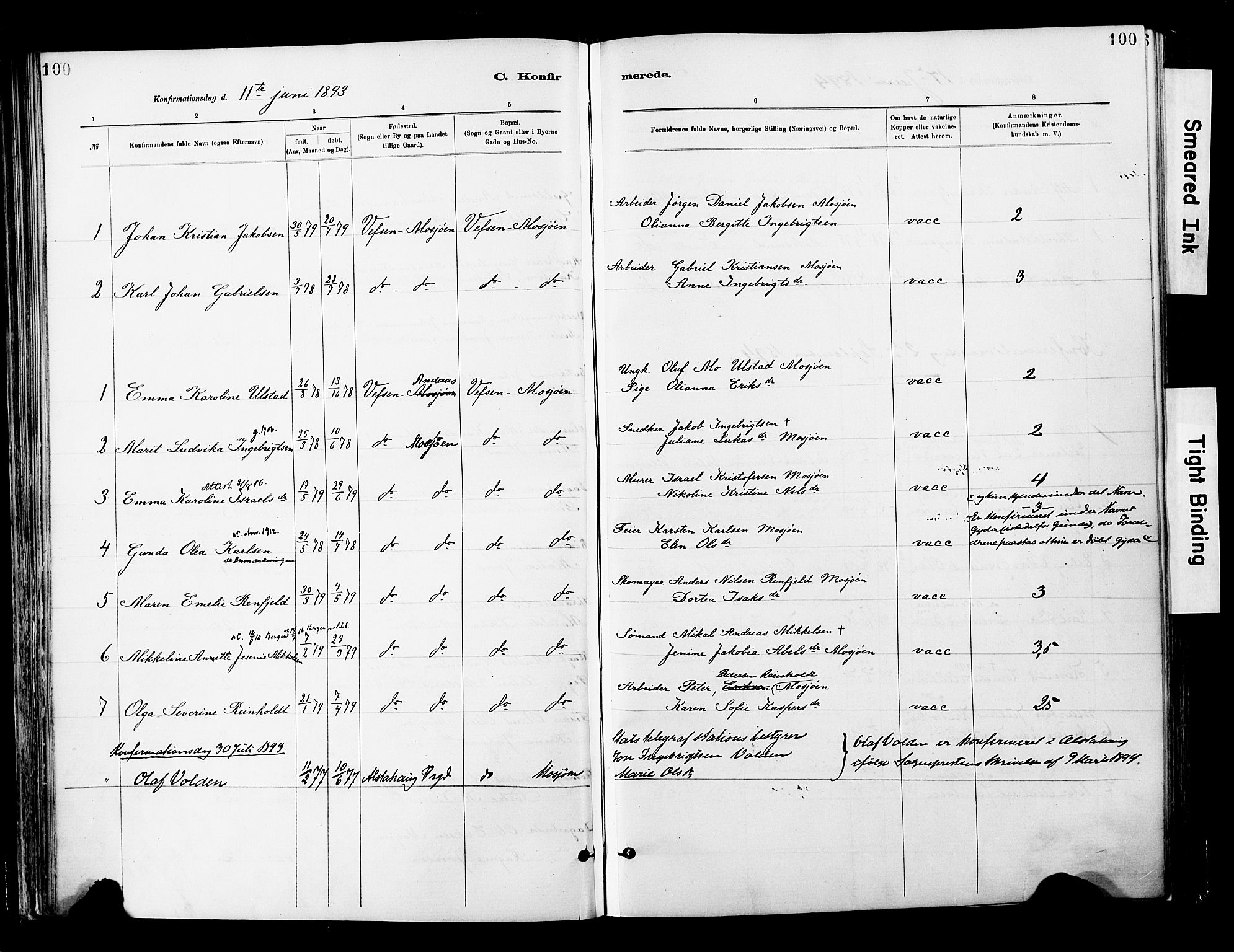 Ministerialprotokoller, klokkerbøker og fødselsregistre - Nordland, AV/SAT-A-1459/820/L0296: Parish register (official) no. 820A17, 1880-1903, p. 100
