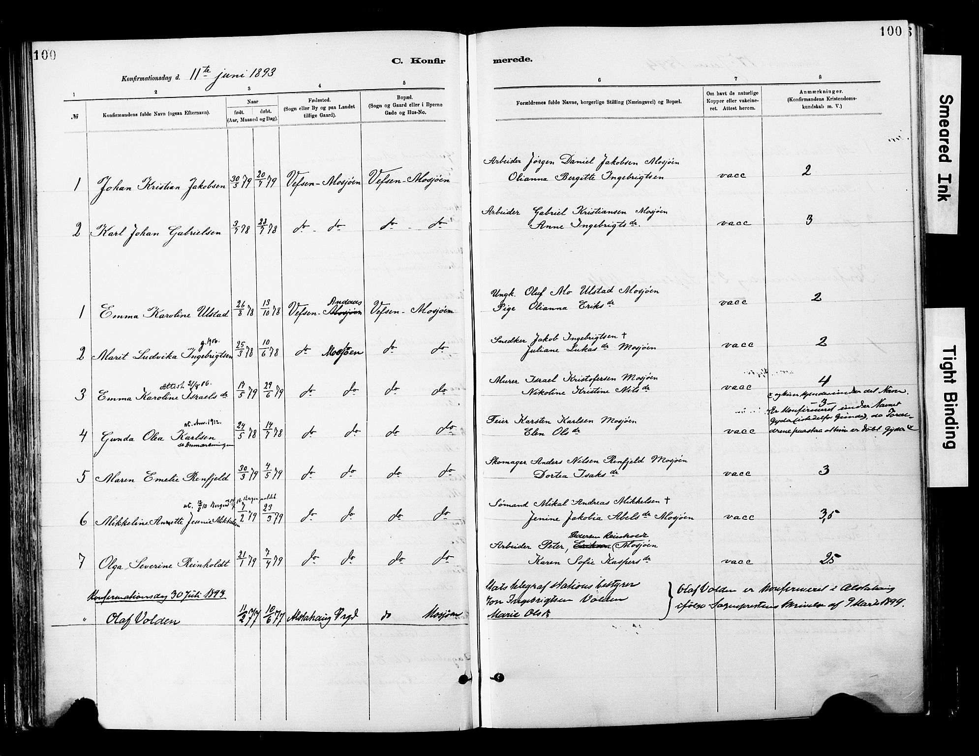 Ministerialprotokoller, klokkerbøker og fødselsregistre - Nordland, SAT/A-1459/820/L0296: Parish register (official) no. 820A17, 1880-1903, p. 100