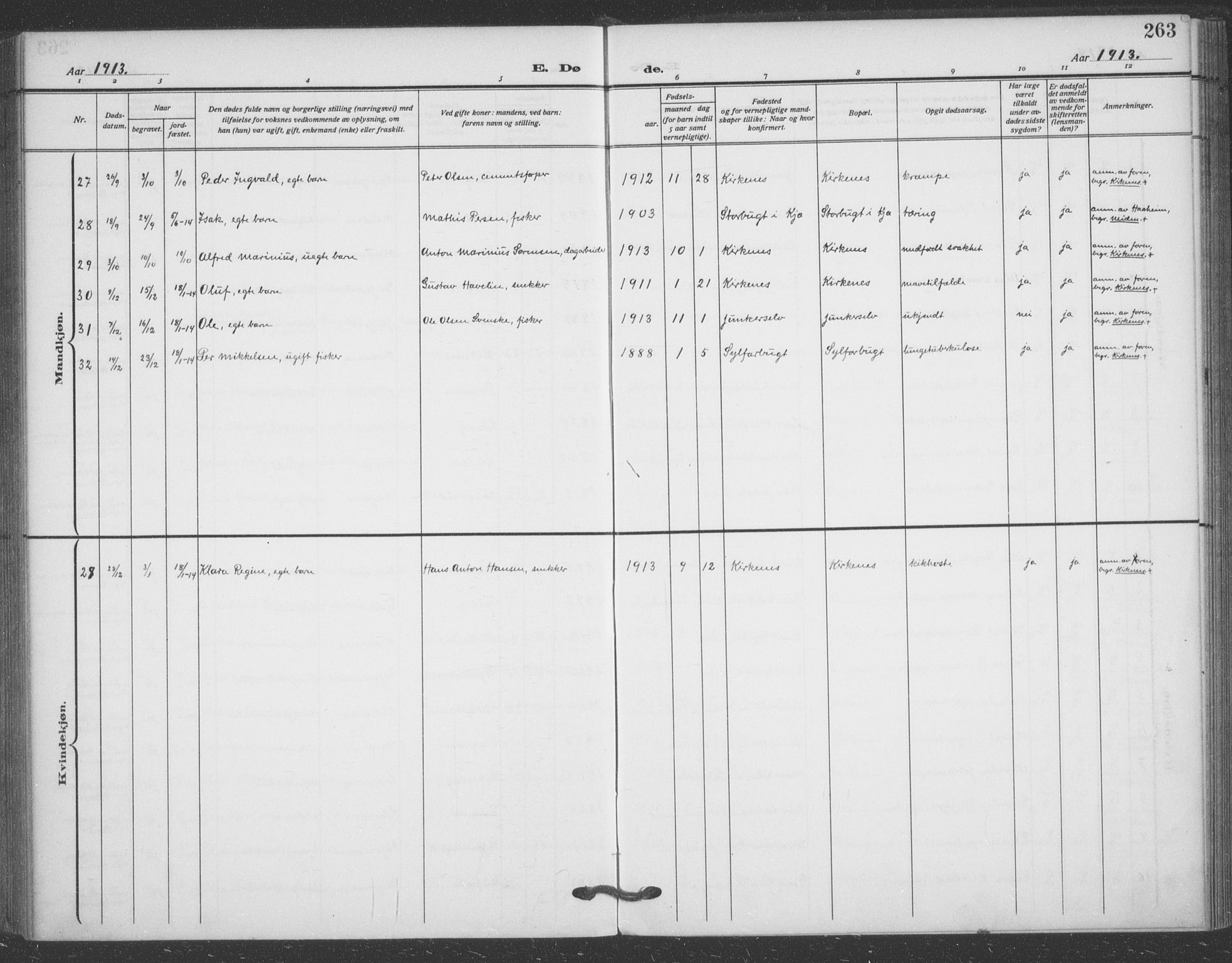 Sør-Varanger sokneprestkontor, AV/SATØ-S-1331/H/Ha/L0005kirke: Parish register (official) no. 5, 1909-1919, p. 263