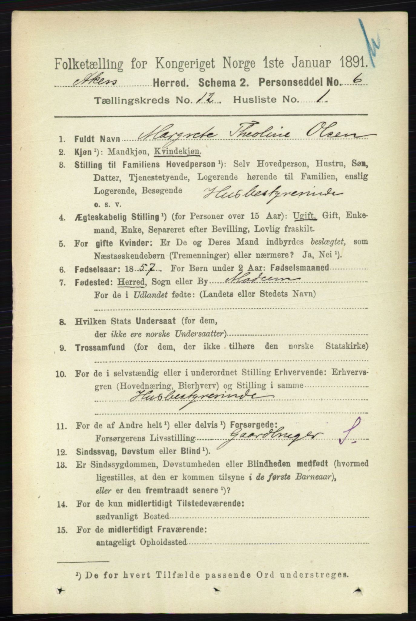 RA, 1891 census for 0218 Aker, 1891, p. 11405