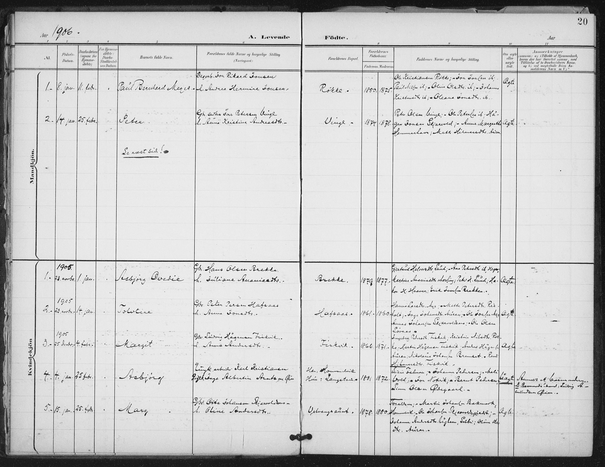Ministerialprotokoller, klokkerbøker og fødselsregistre - Nord-Trøndelag, AV/SAT-A-1458/712/L0101: Parish register (official) no. 712A02, 1901-1916, p. 20