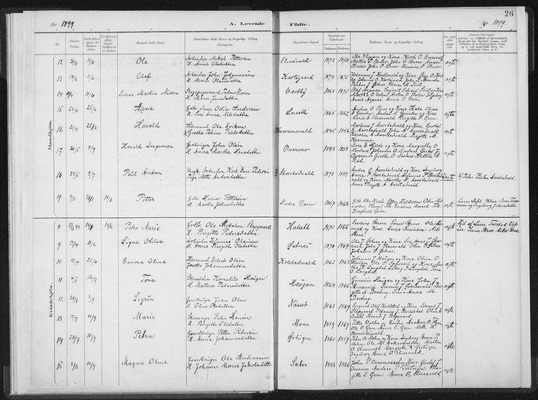 Ministerialprotokoller, klokkerbøker og fødselsregistre - Nord-Trøndelag, AV/SAT-A-1458/724/L0263: Parish register (official) no. 724A01, 1891-1907, p. 26