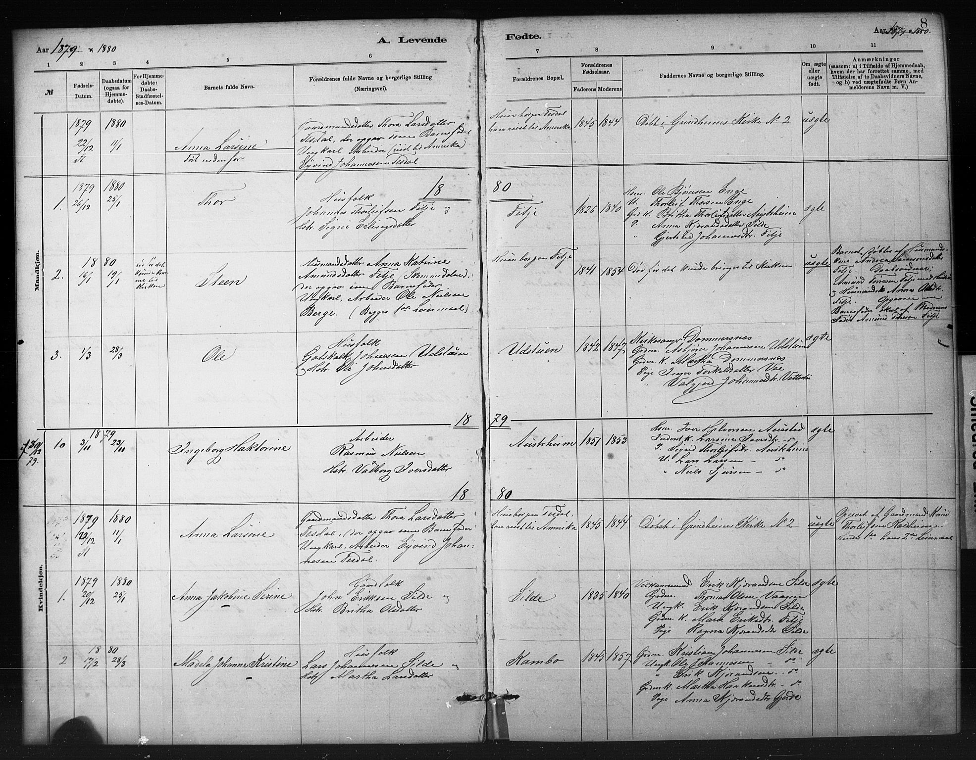 Etne sokneprestembete, SAB/A-75001/H/Hab: Parish register (copy) no. A 5, 1879-1896, p. 8