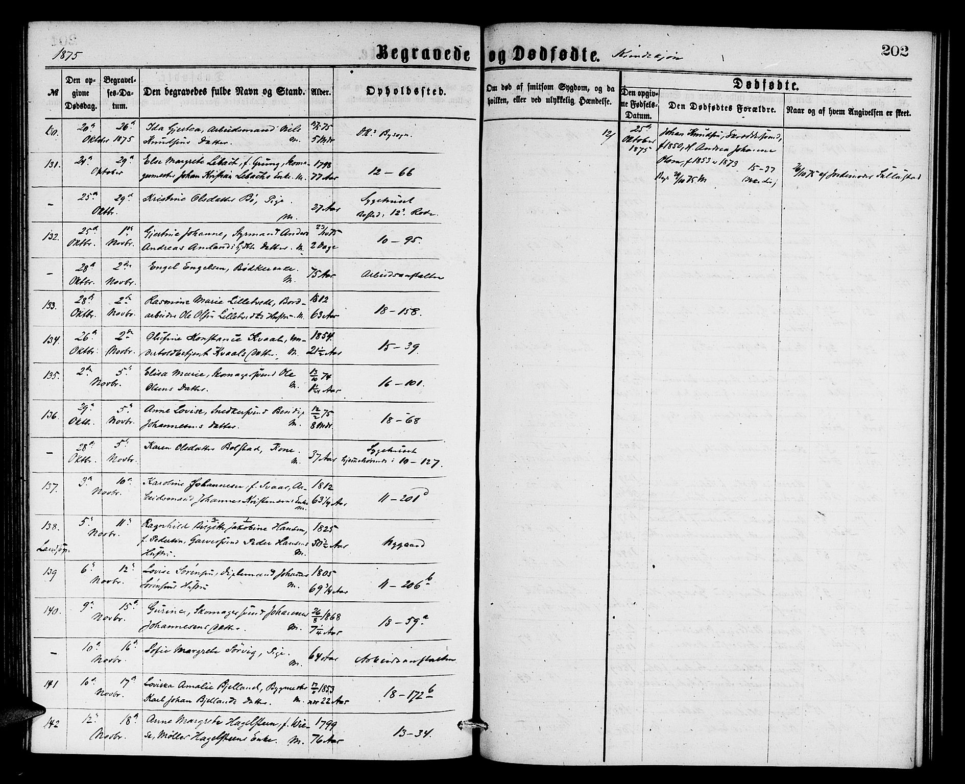 Domkirken sokneprestembete, AV/SAB-A-74801/H/Hab/L0040: Parish register (copy) no. E 4, 1868-1877, p. 202