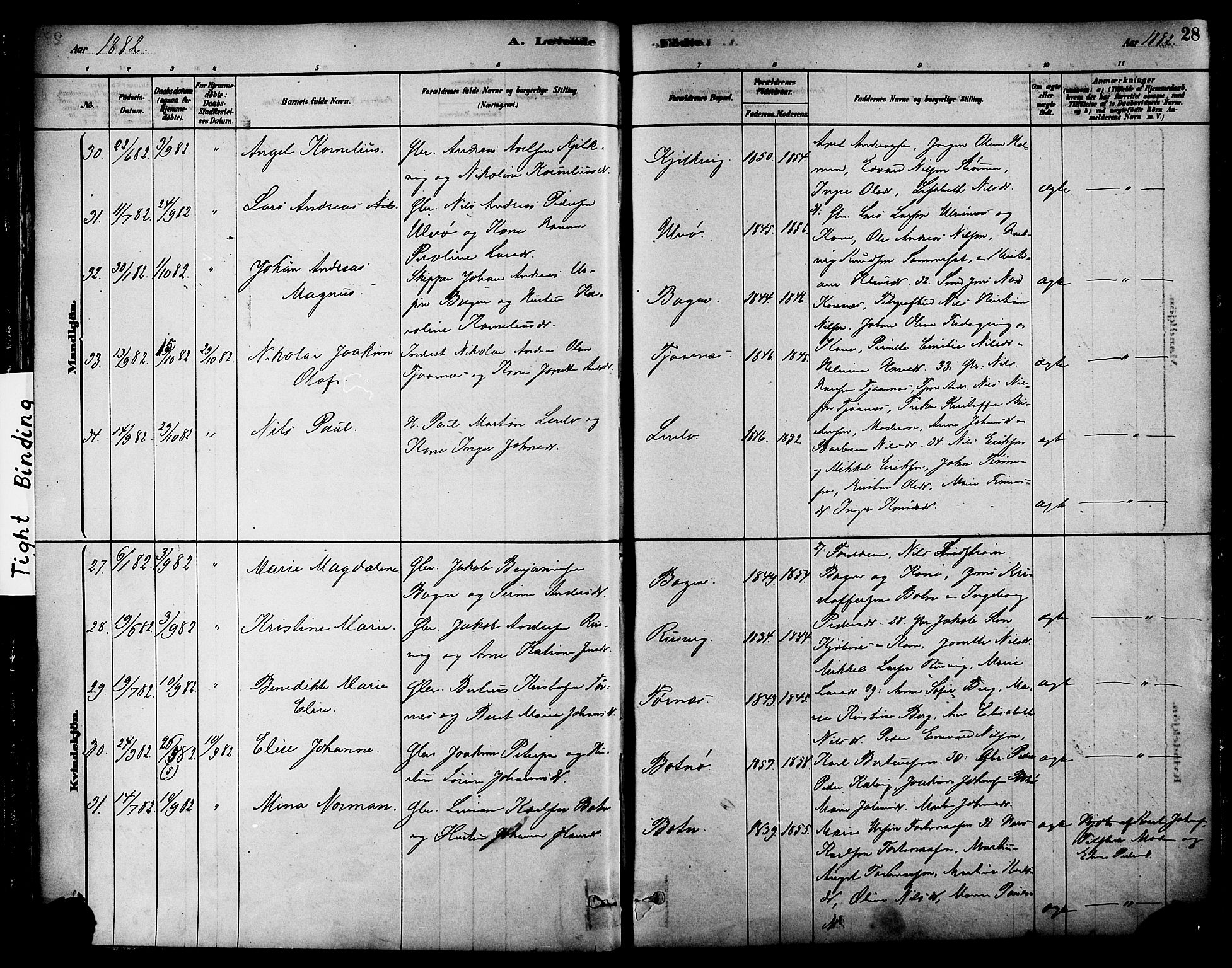 Ministerialprotokoller, klokkerbøker og fødselsregistre - Nordland, AV/SAT-A-1459/861/L0868: Parish register (official) no. 861A03, 1879-1889, p. 28