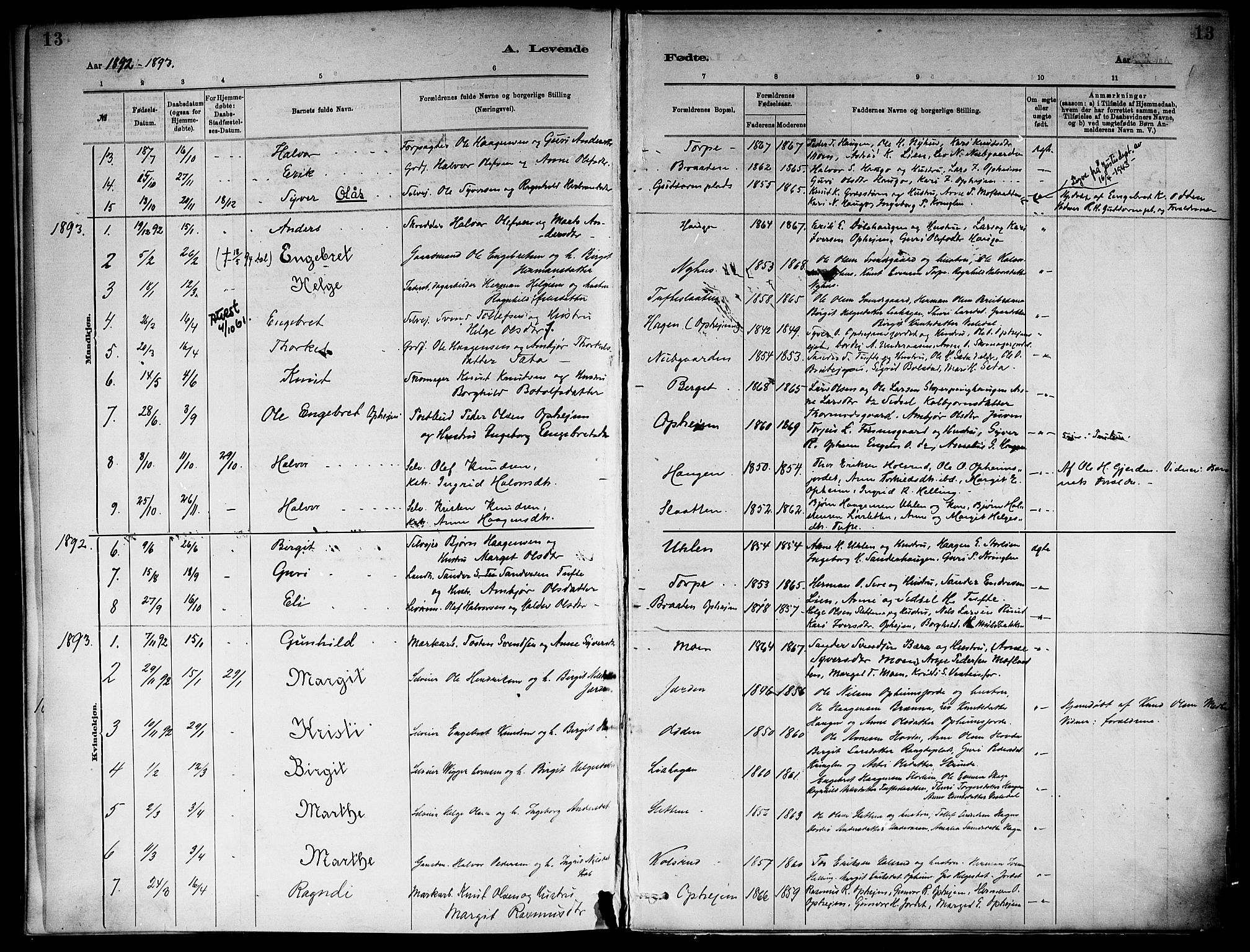 Ål kirkebøker, SAKO/A-249/F/Fb/L0001: Parish register (official) no. II 1, 1882-1899, p. 13