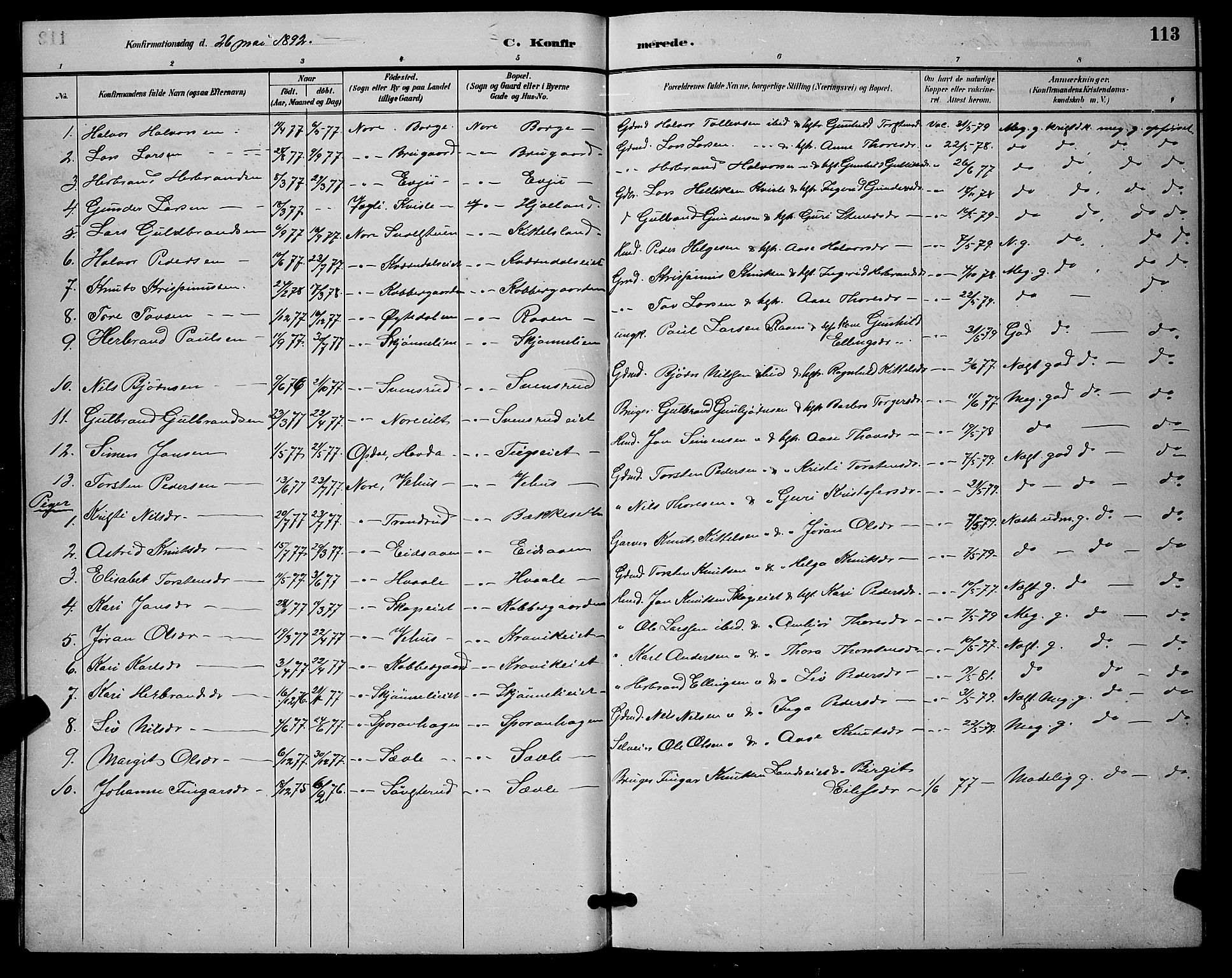 Nore kirkebøker, SAKO/A-238/G/Ga/L0003: Parish register (copy) no. I 3, 1886-1903, p. 113