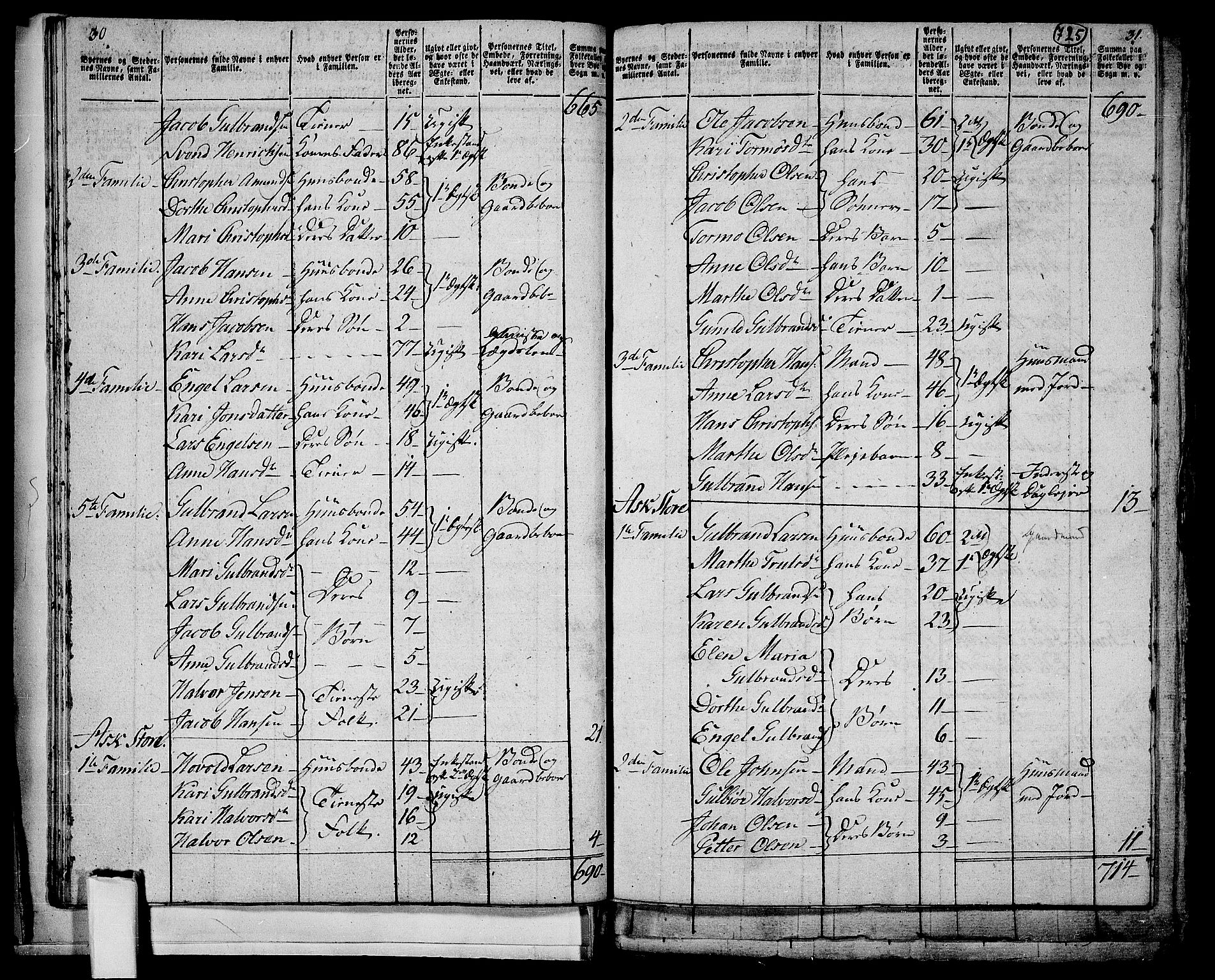 RA, 1801 census for 0234P Gjerdrum, 1801, p. 724b-725a