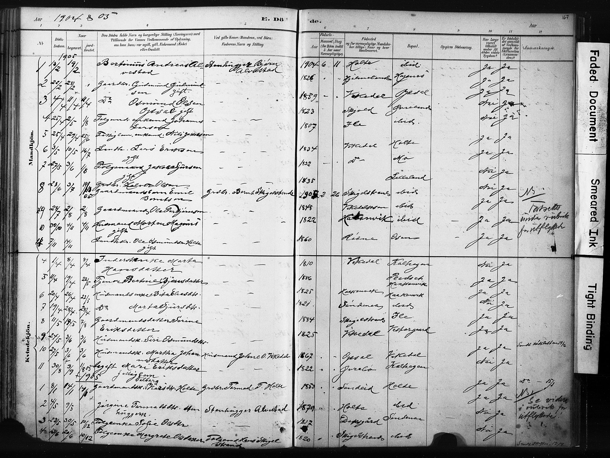 Vikedal sokneprestkontor, AV/SAST-A-101840/01/IV: Parish register (official) no. A 10, 1884-1907, p. 167