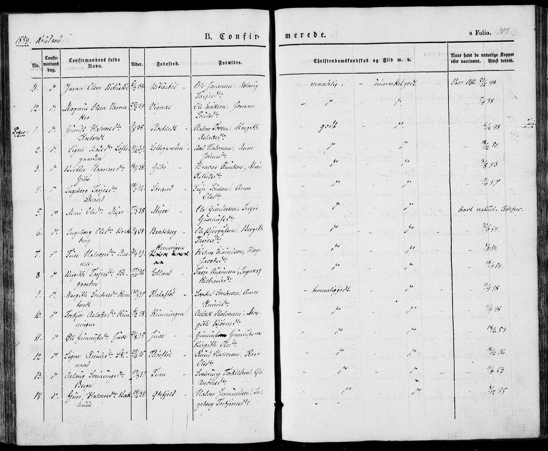 Vinje kirkebøker, SAKO/A-312/F/Fa/L0004: Parish register (official) no. I 4, 1843-1869, p. 207