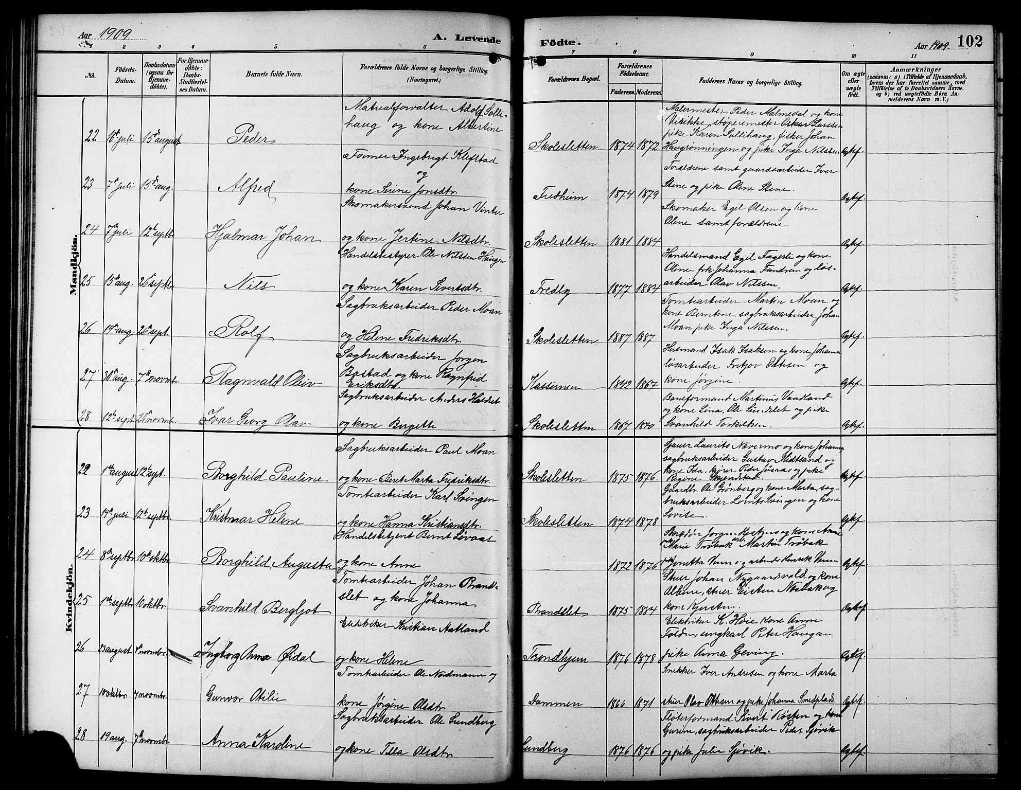 Ministerialprotokoller, klokkerbøker og fødselsregistre - Sør-Trøndelag, AV/SAT-A-1456/617/L0431: Parish register (copy) no. 617C01, 1889-1910, p. 102