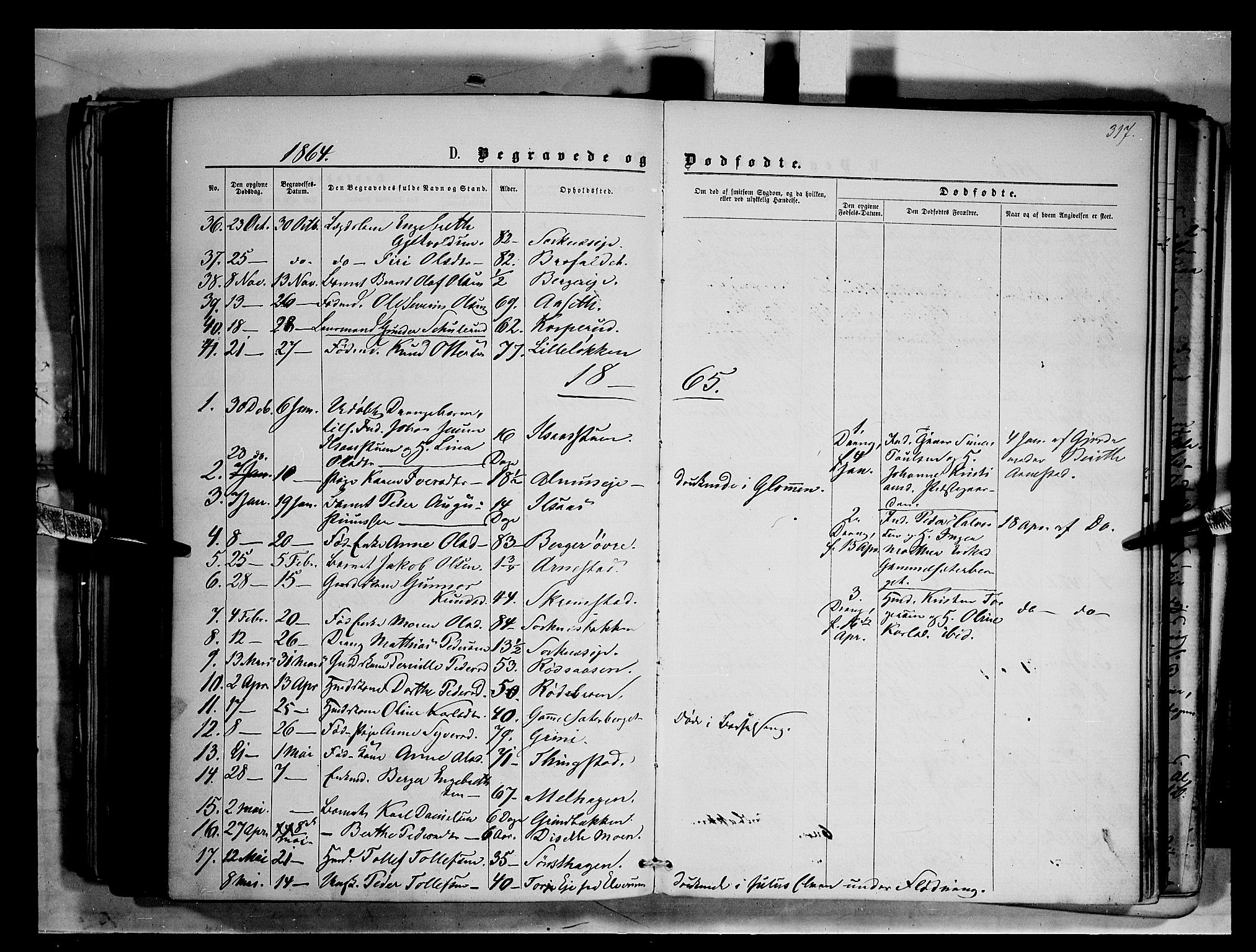 Åmot prestekontor, Hedmark, SAH/PREST-056/H/Ha/Haa/L0008: Parish register (official) no. 8, 1862-1875, p. 317