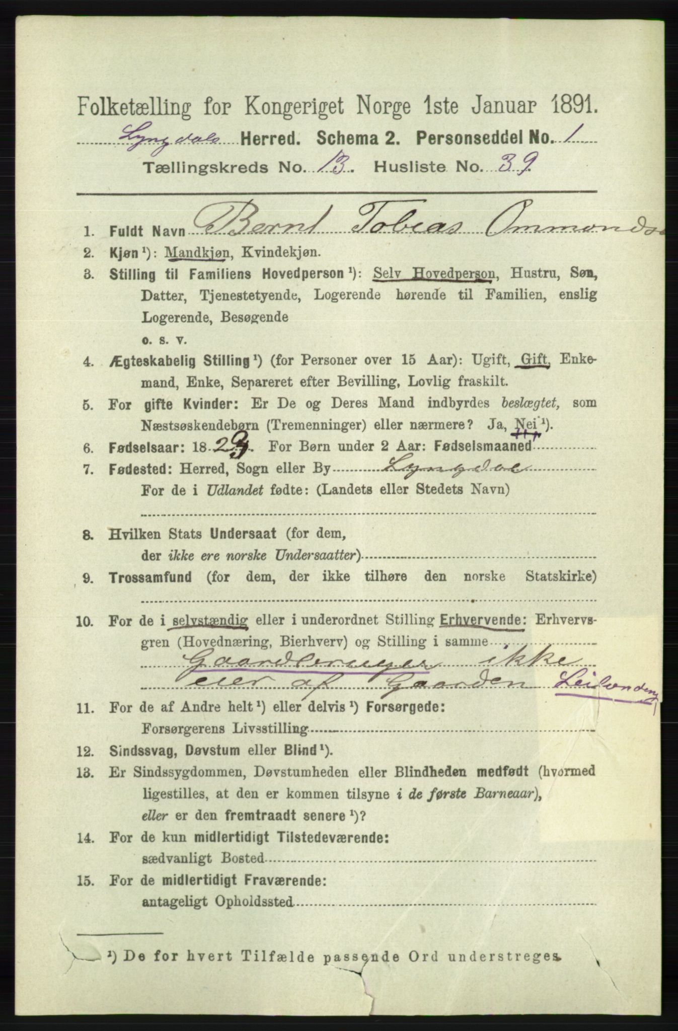 RA, 1891 census for 1032 Lyngdal, 1891, p. 5800