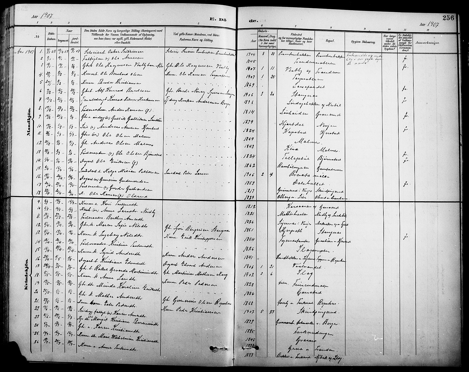 Eidskog prestekontor, AV/SAH-PREST-026/H/Ha/Hab/L0001: Parish register (copy) no. 1, 1895-1917, p. 256