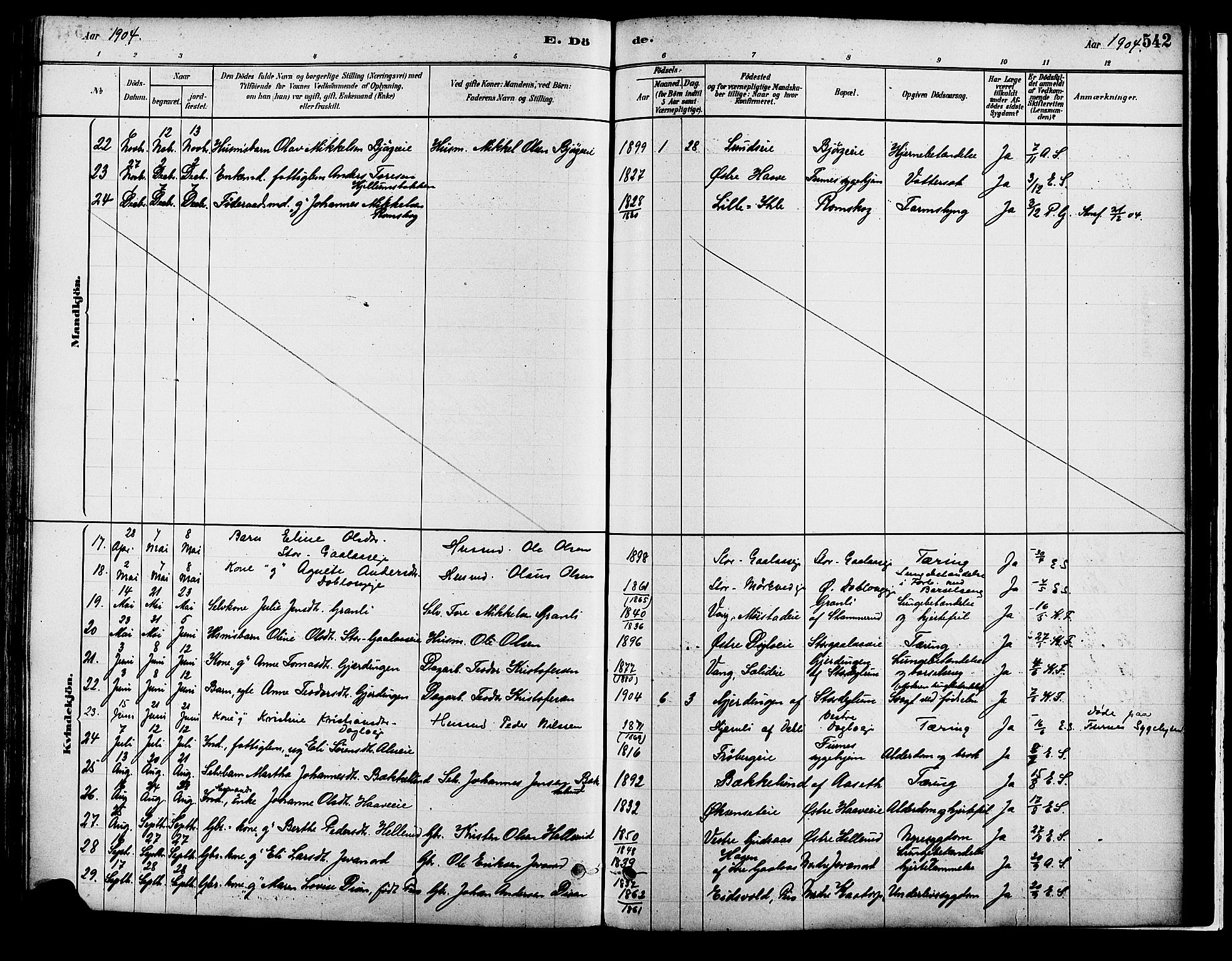 Vang prestekontor, Hedmark, AV/SAH-PREST-008/H/Ha/Haa/L0018B: Parish register (official) no. 18B, 1880-1906, p. 542