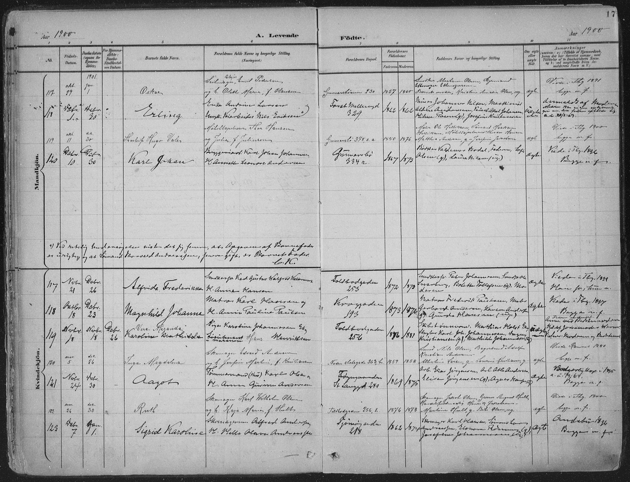 Tønsberg kirkebøker, SAKO/A-330/F/Fa/L0014: Parish register (official) no. I 14, 1900-1913, p. 17