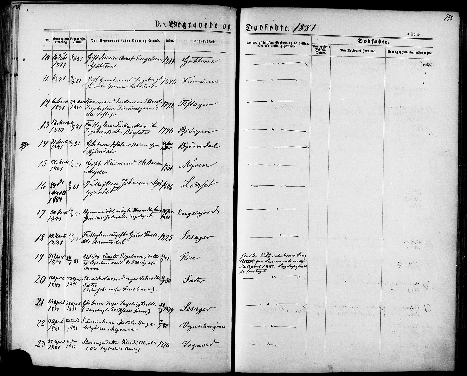 Ministerialprotokoller, klokkerbøker og fødselsregistre - Sør-Trøndelag, AV/SAT-A-1456/678/L0900: Parish register (official) no. 678A09, 1872-1881, p. 238