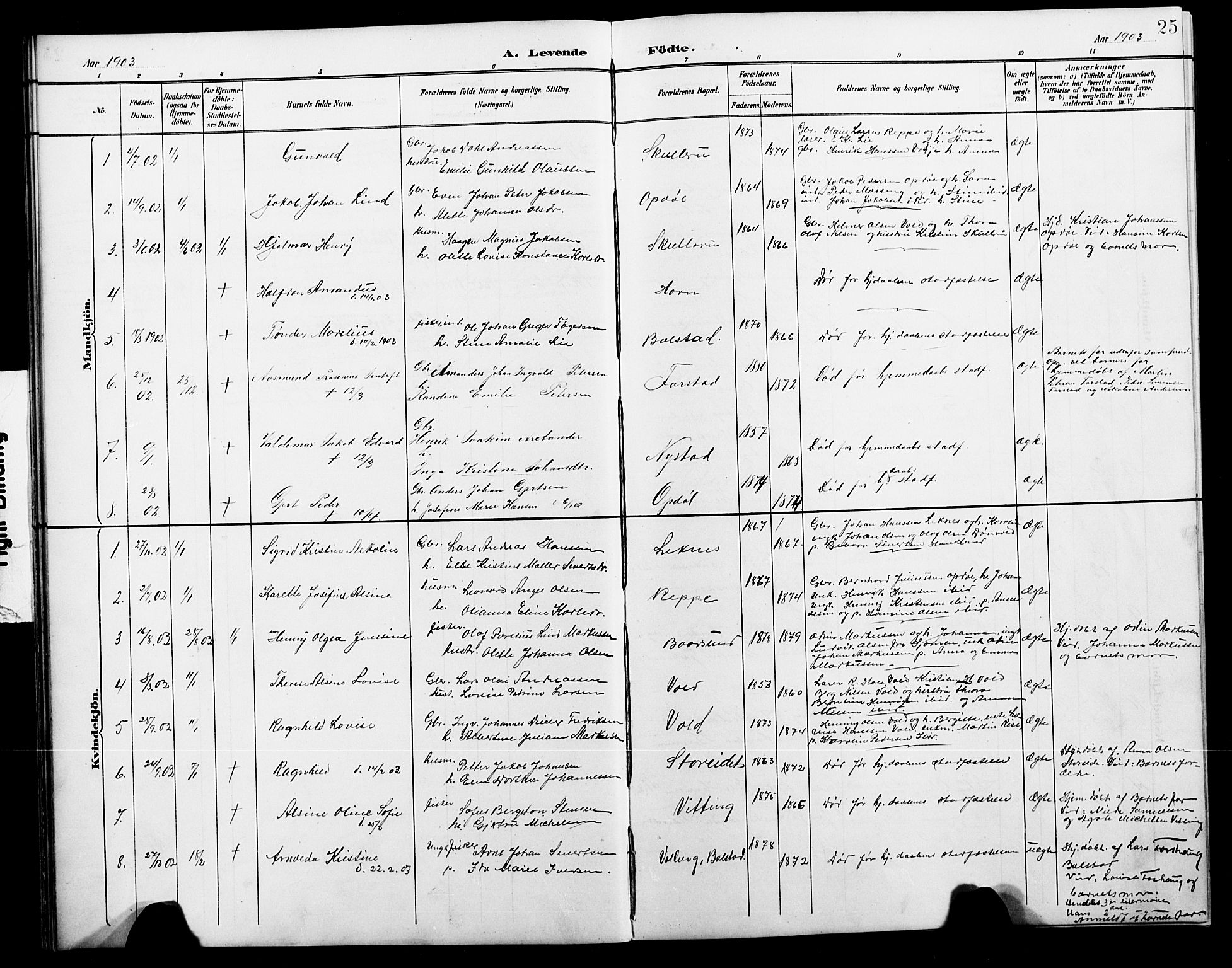 Ministerialprotokoller, klokkerbøker og fødselsregistre - Nordland, AV/SAT-A-1459/881/L1168: Parish register (copy) no. 881C05, 1900-1911, p. 25