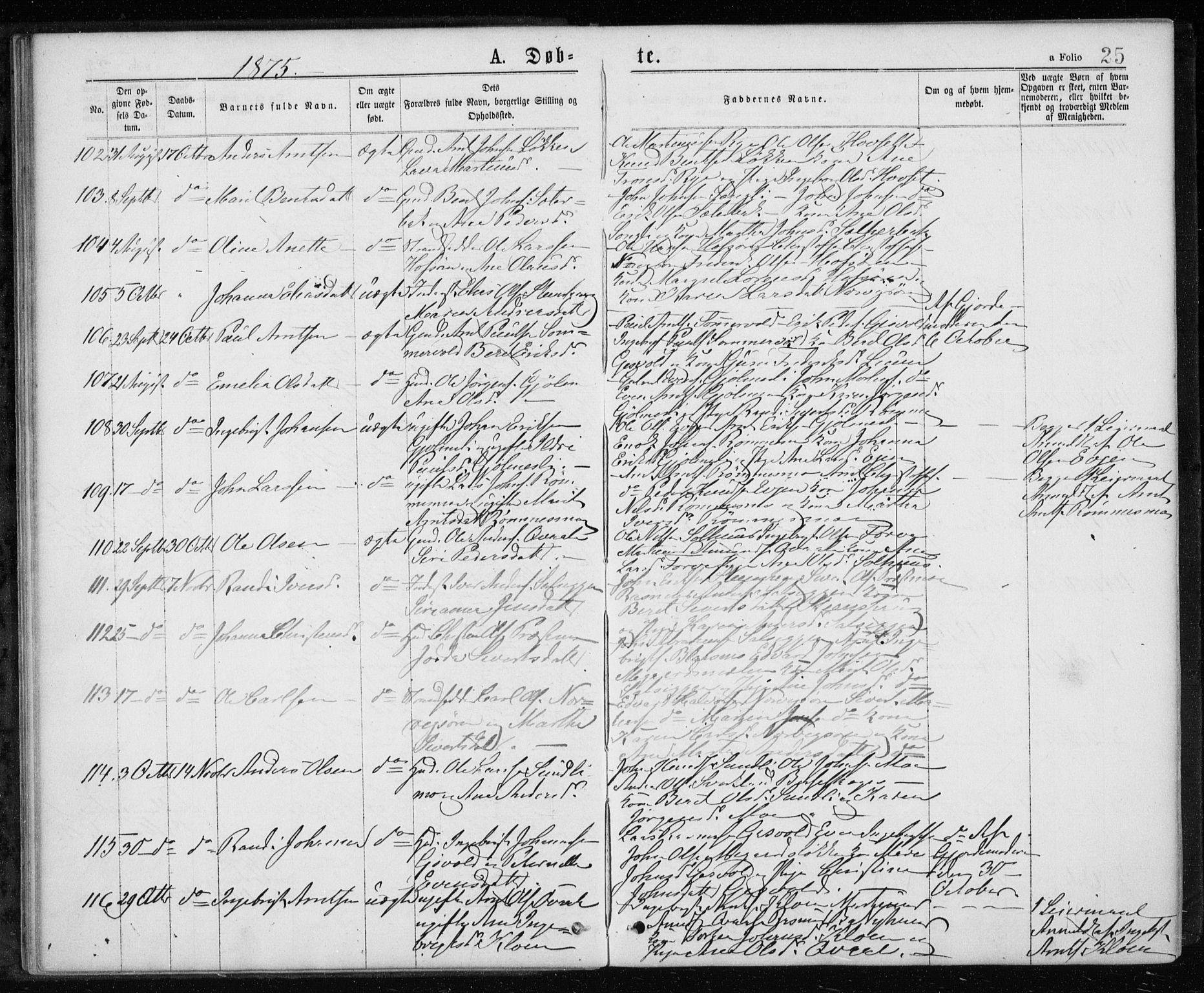 Ministerialprotokoller, klokkerbøker og fødselsregistre - Sør-Trøndelag, SAT/A-1456/668/L0817: Parish register (copy) no. 668C06, 1873-1884, p. 25