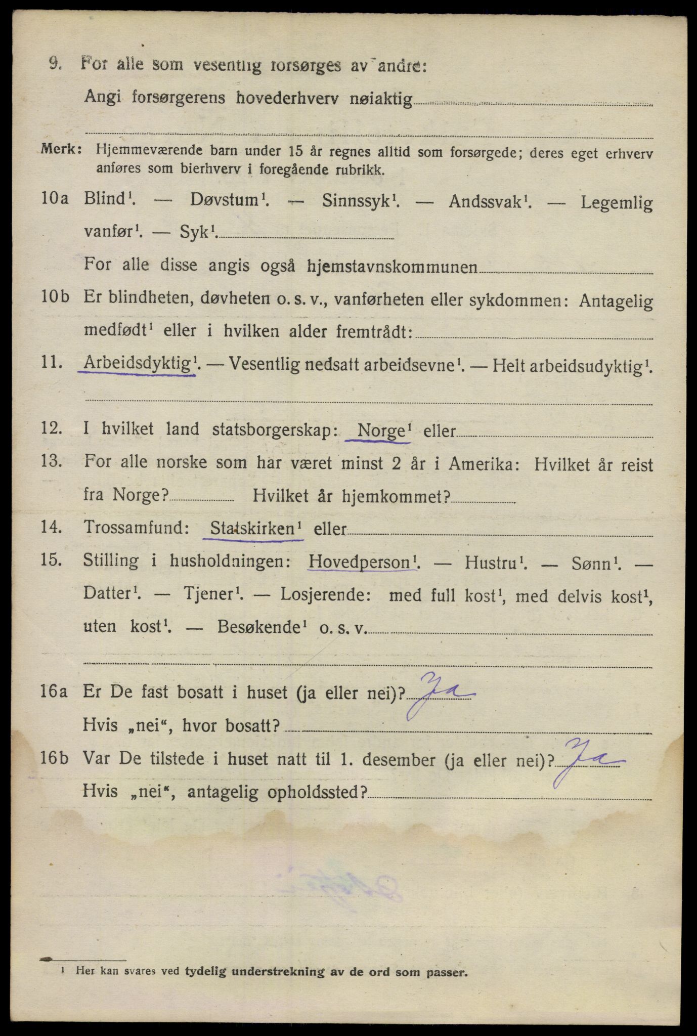 SAO, 1920 census for Nes, 1920, p. 7619