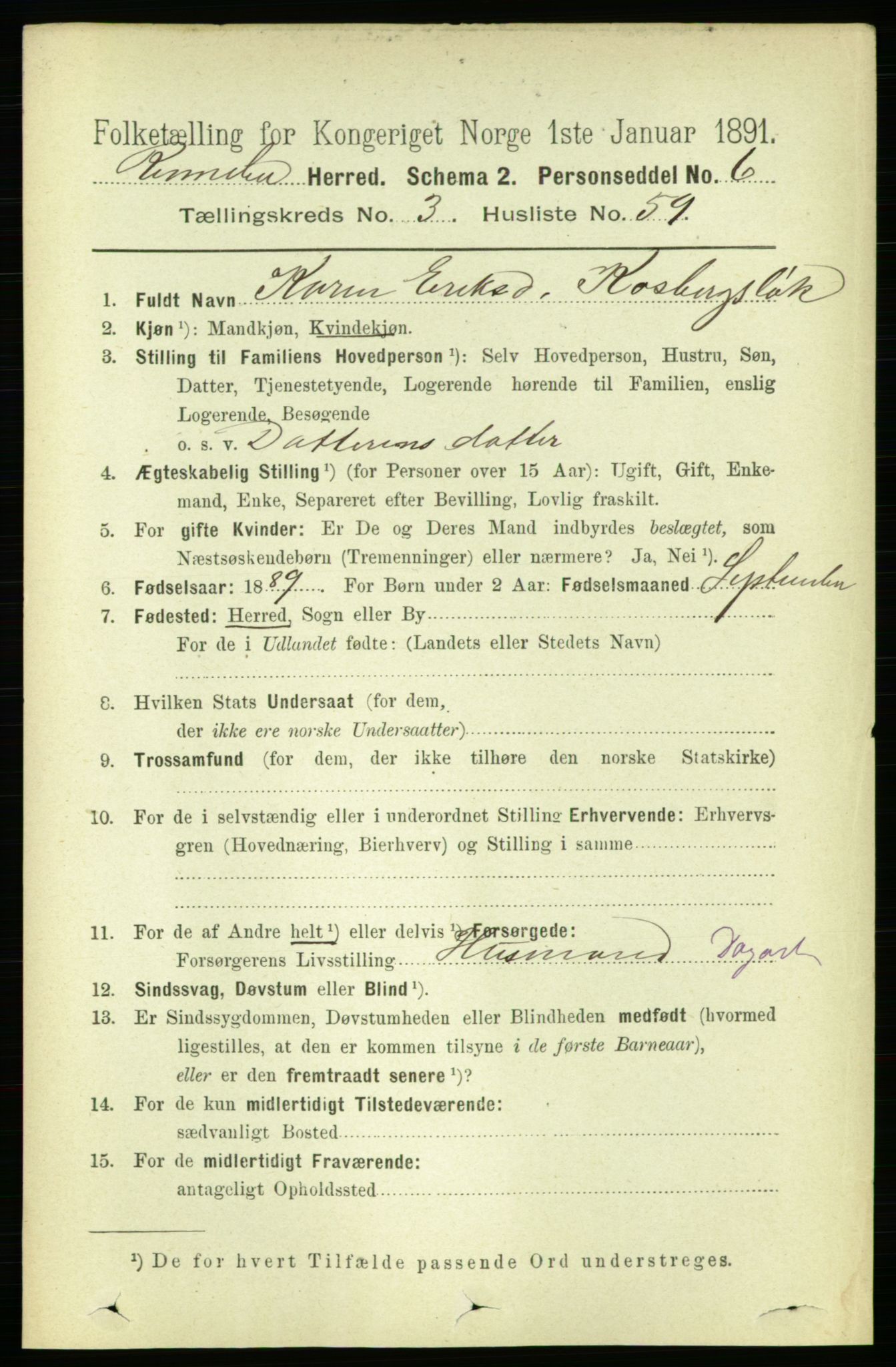 RA, 1891 census for 1635 Rennebu, 1891, p. 1684