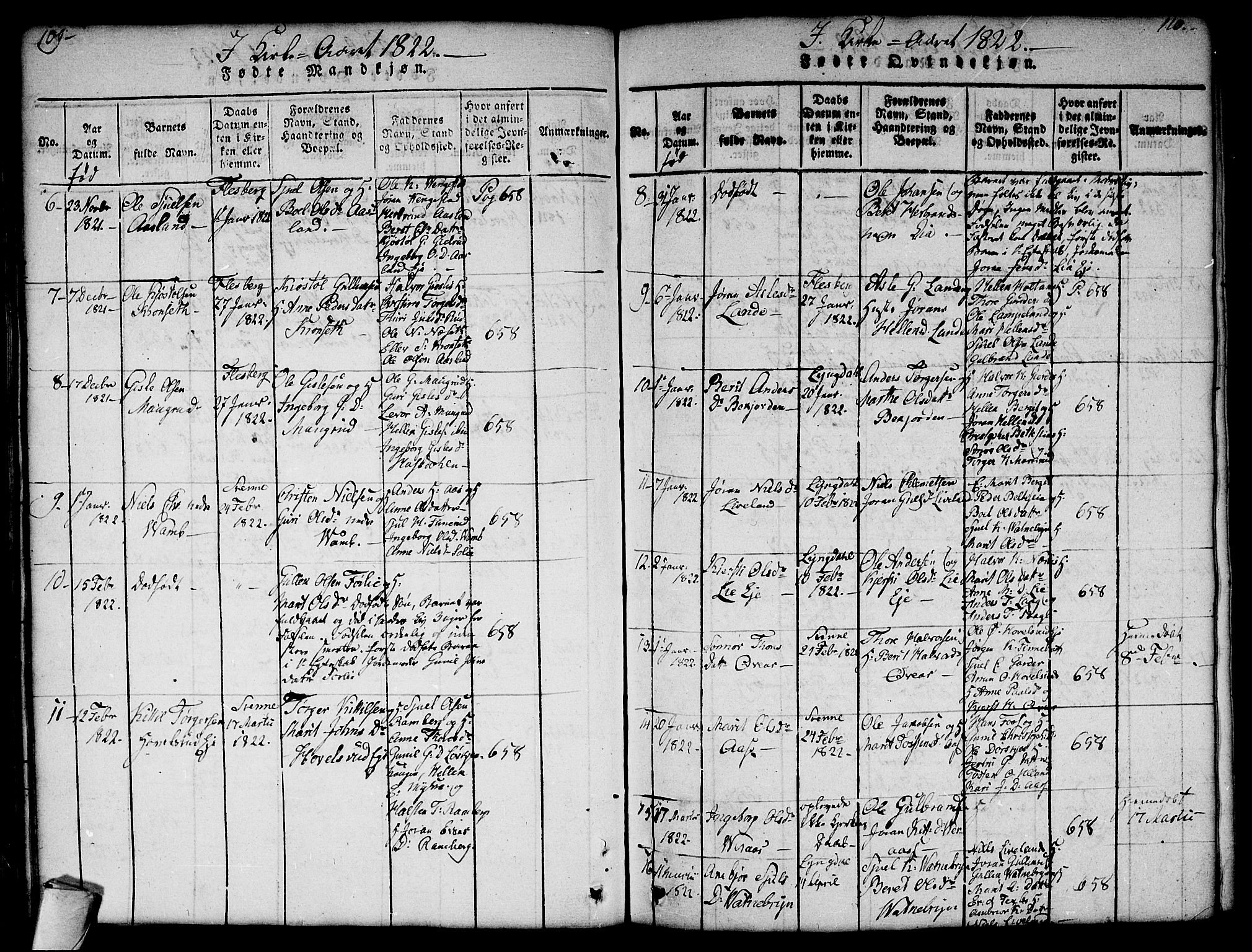 Flesberg kirkebøker, AV/SAKO-A-18/G/Ga/L0001: Parish register (copy) no. I 1, 1816-1834, p. 109-110