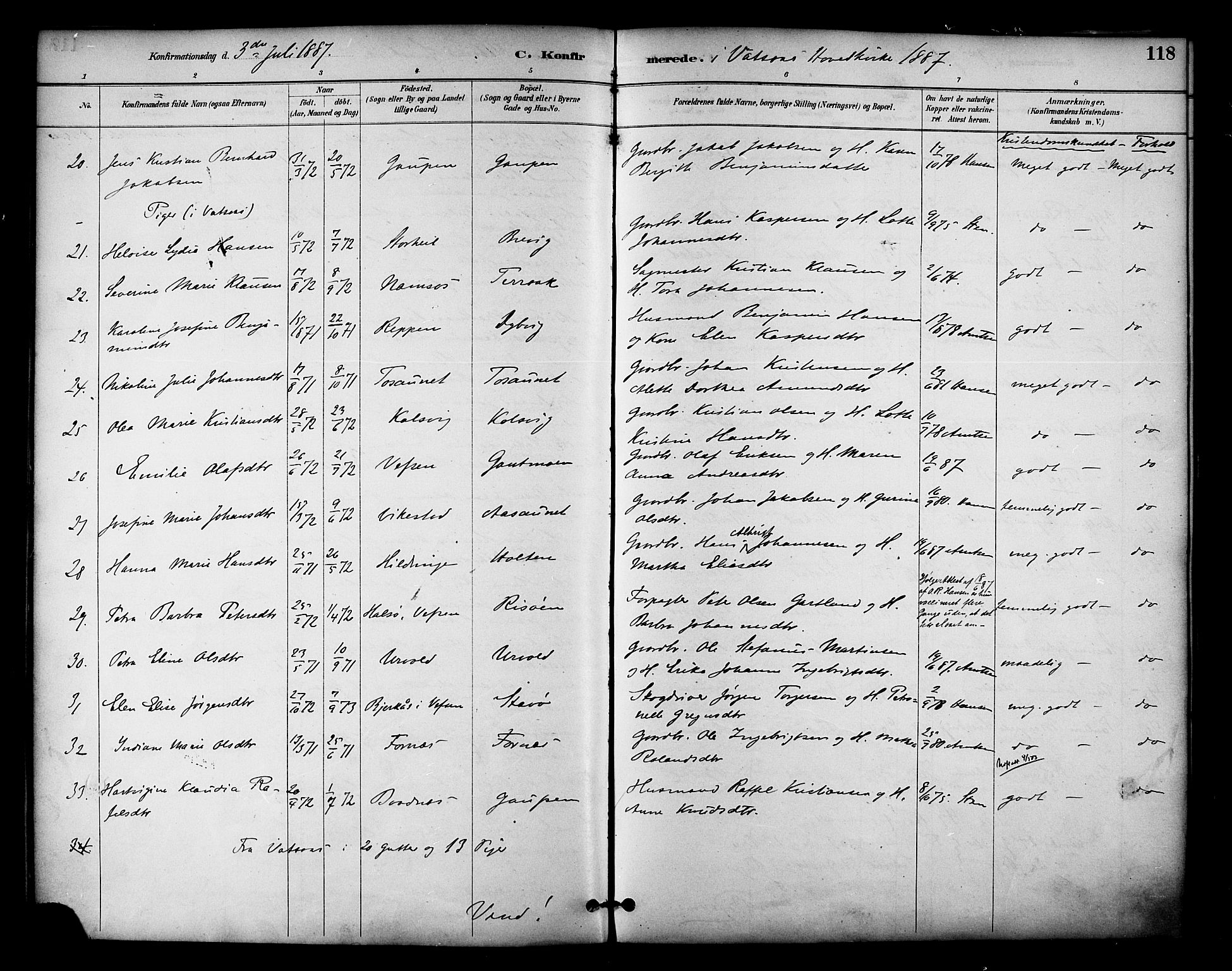 Ministerialprotokoller, klokkerbøker og fødselsregistre - Nordland, AV/SAT-A-1459/810/L0150: Parish register (official) no. 810A10 /1, 1884-1895, p. 118