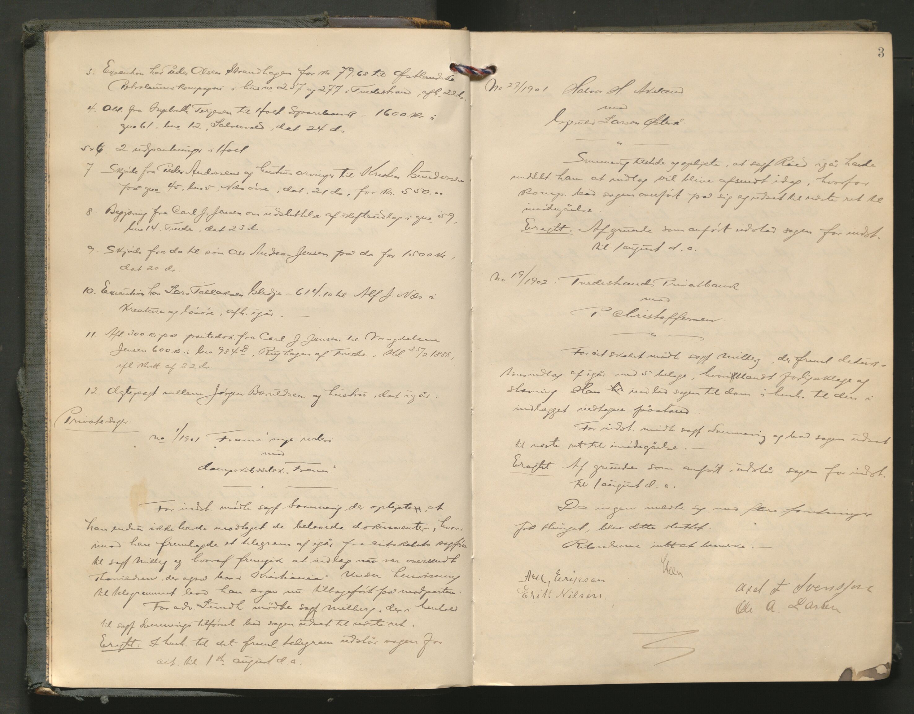 Holt sorenskriveri, AV/SAK-1221-0002/F/Fa/L0019: Tingbok nr 19, 1902-1908, p. 2b-3a