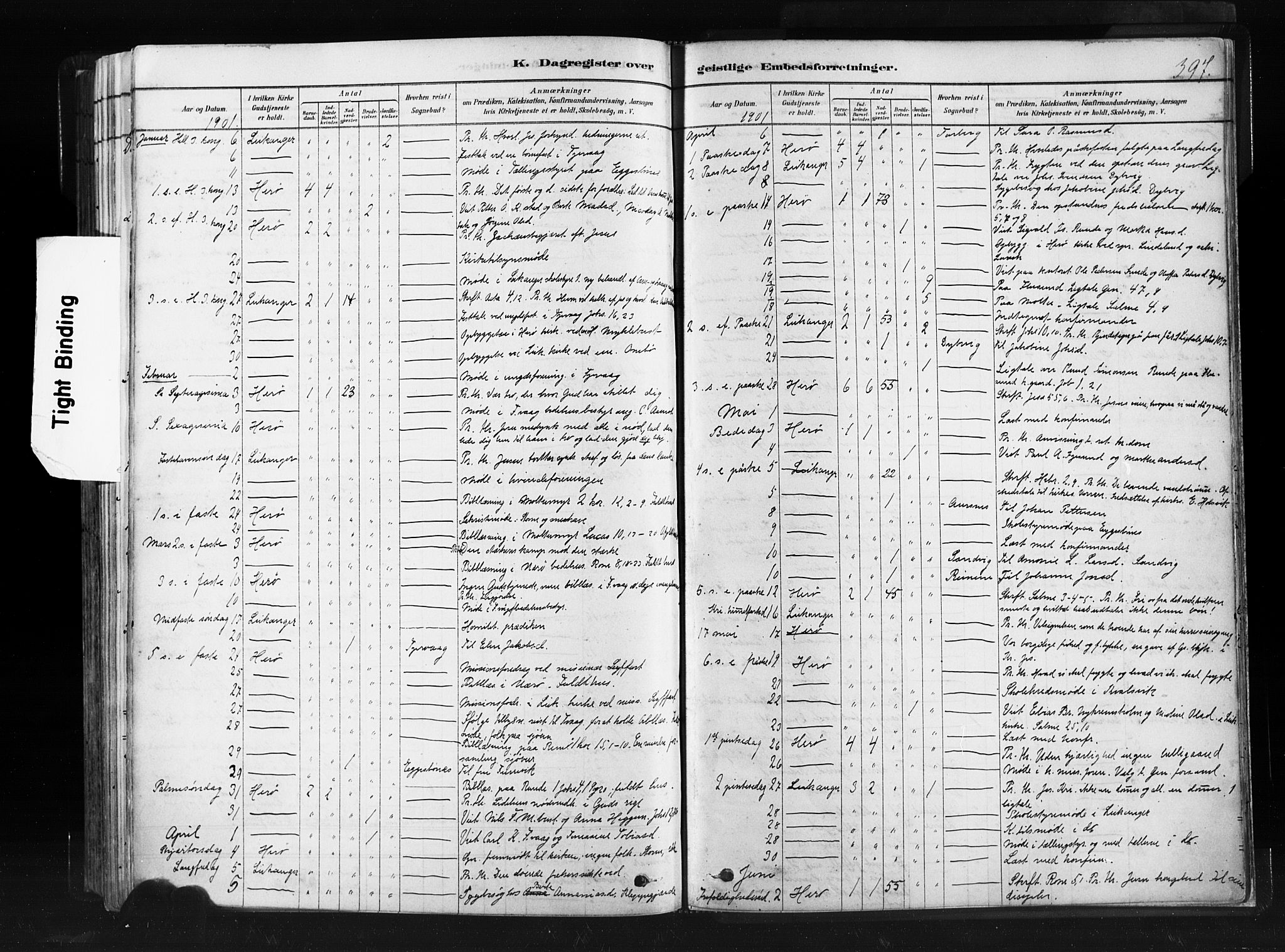 Ministerialprotokoller, klokkerbøker og fødselsregistre - Møre og Romsdal, SAT/A-1454/507/L0073: Parish register (official) no. 507A08, 1878-1904, p. 397