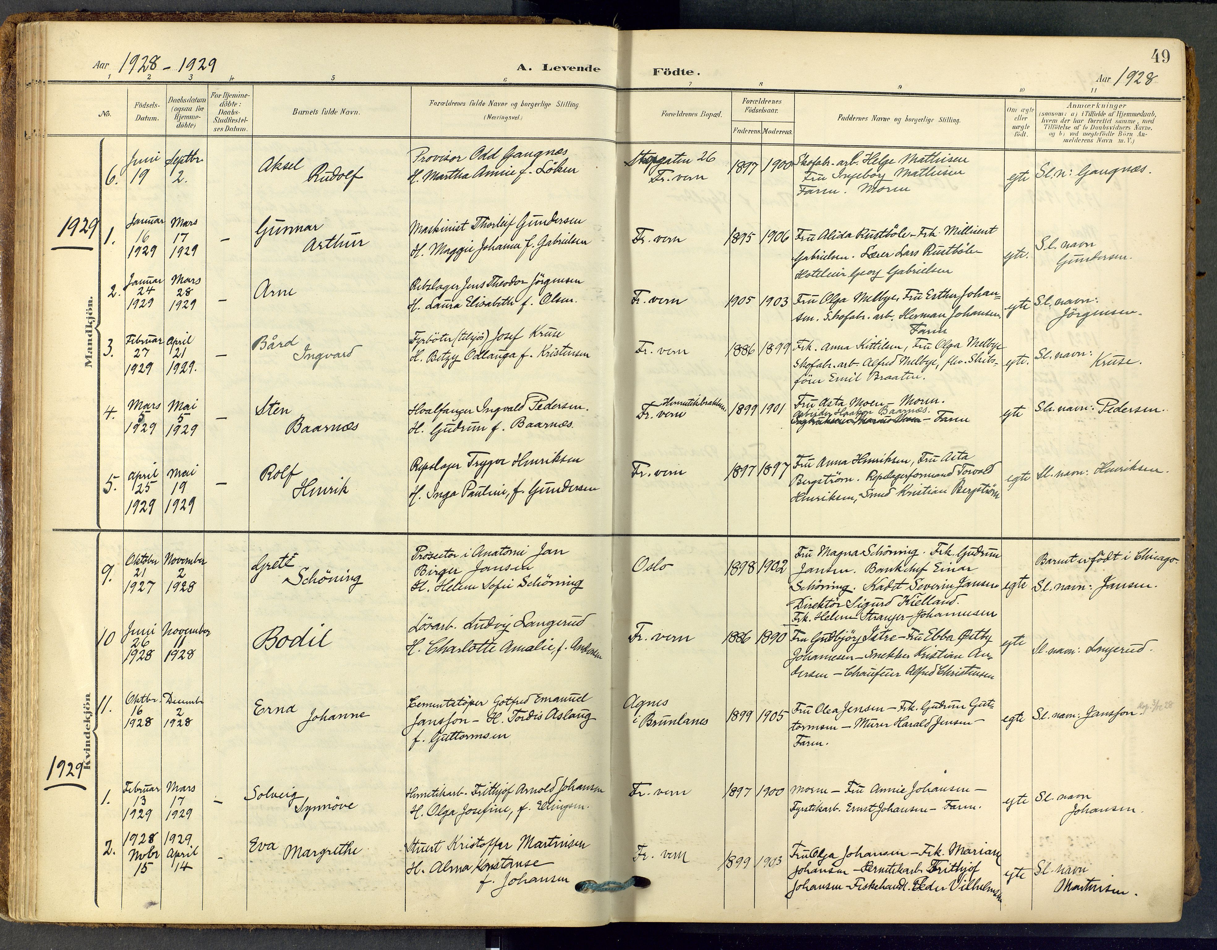 Stavern kirkebøker, SAKO/A-318/F/Fa/L0009: Parish register (official) no. 9, 1906-1955, p. 49