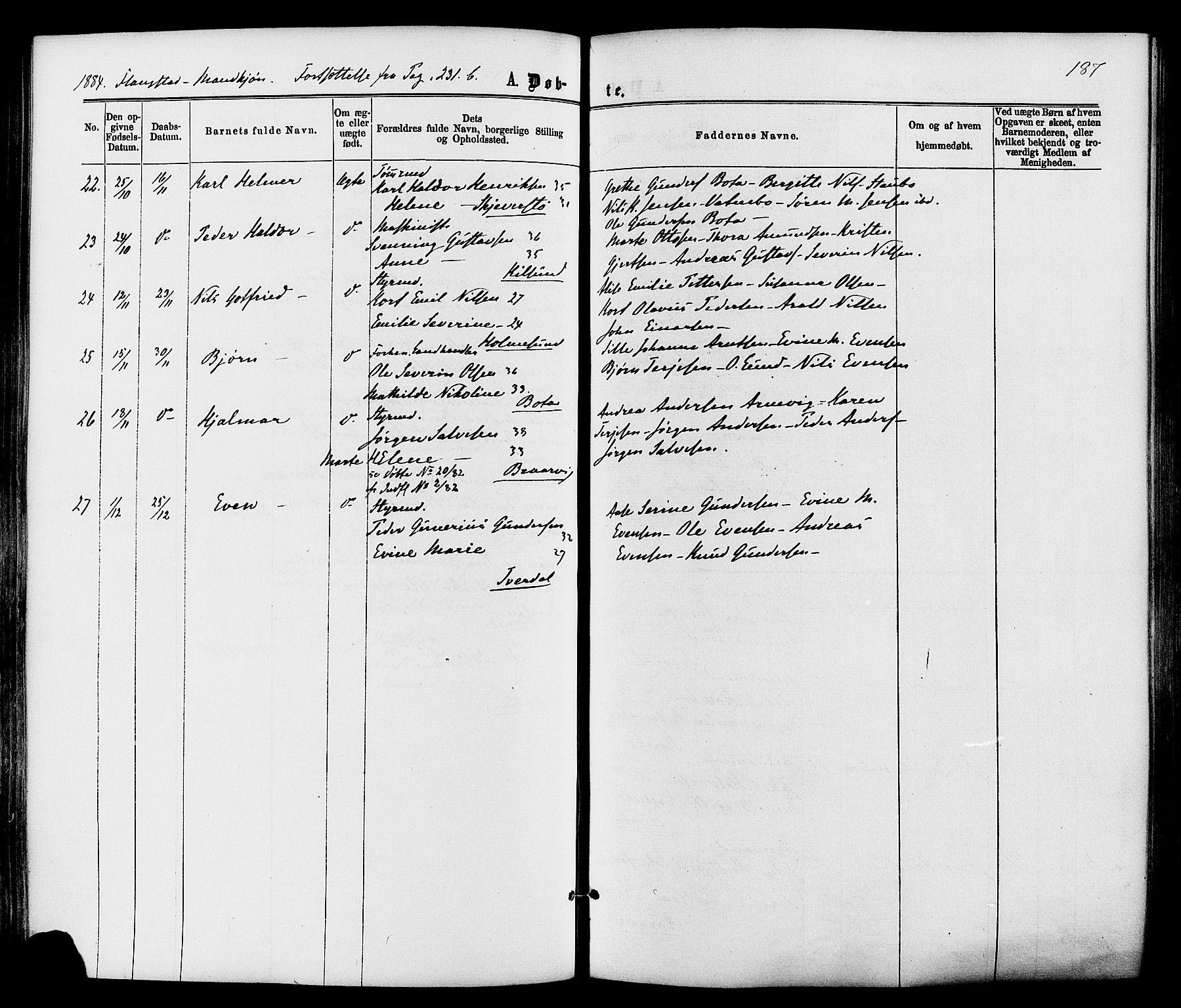 Dypvåg sokneprestkontor, AV/SAK-1111-0007/F/Fa/Faa/L0007: Parish register (official) no. A 7 /2, 1877-1884, p. 187