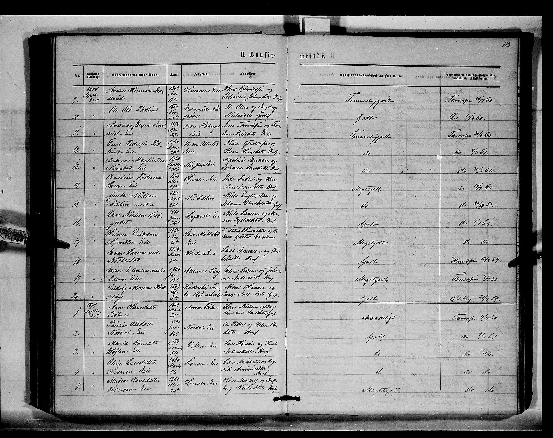 Stange prestekontor, AV/SAH-PREST-002/K/L0015: Parish register (official) no. 15, 1862-1879, p. 113