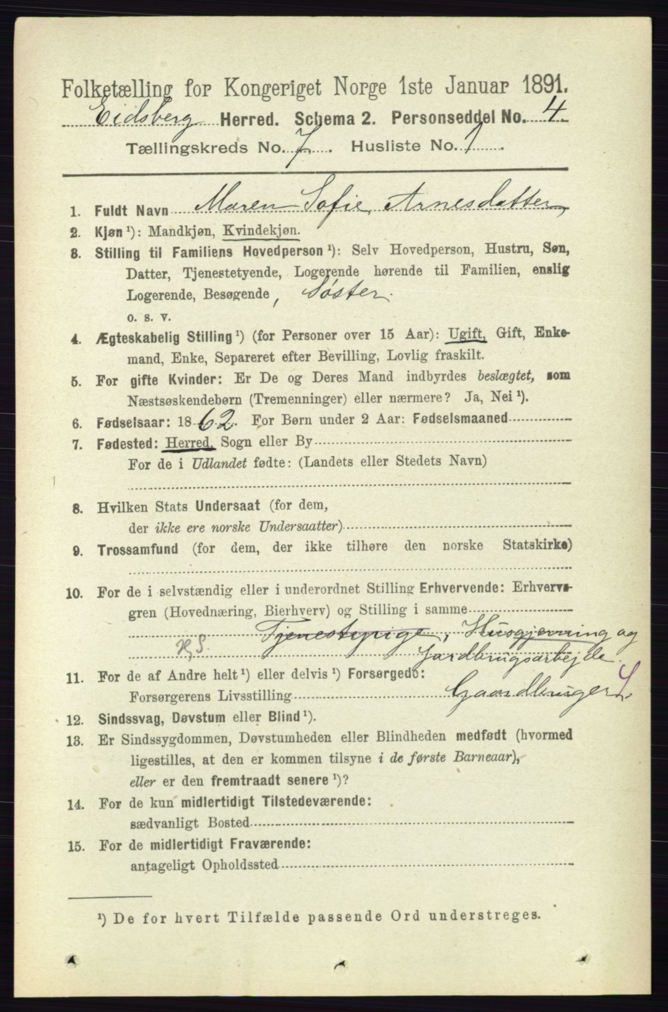 RA, 1891 census for 0125 Eidsberg, 1891, p. 4107