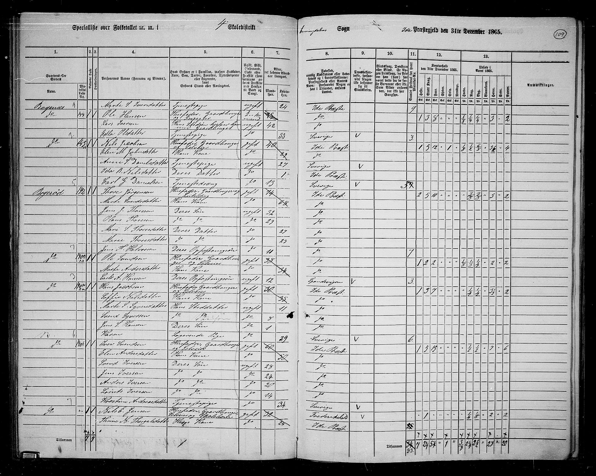 RA, 1865 census for Idd, 1865, p. 98