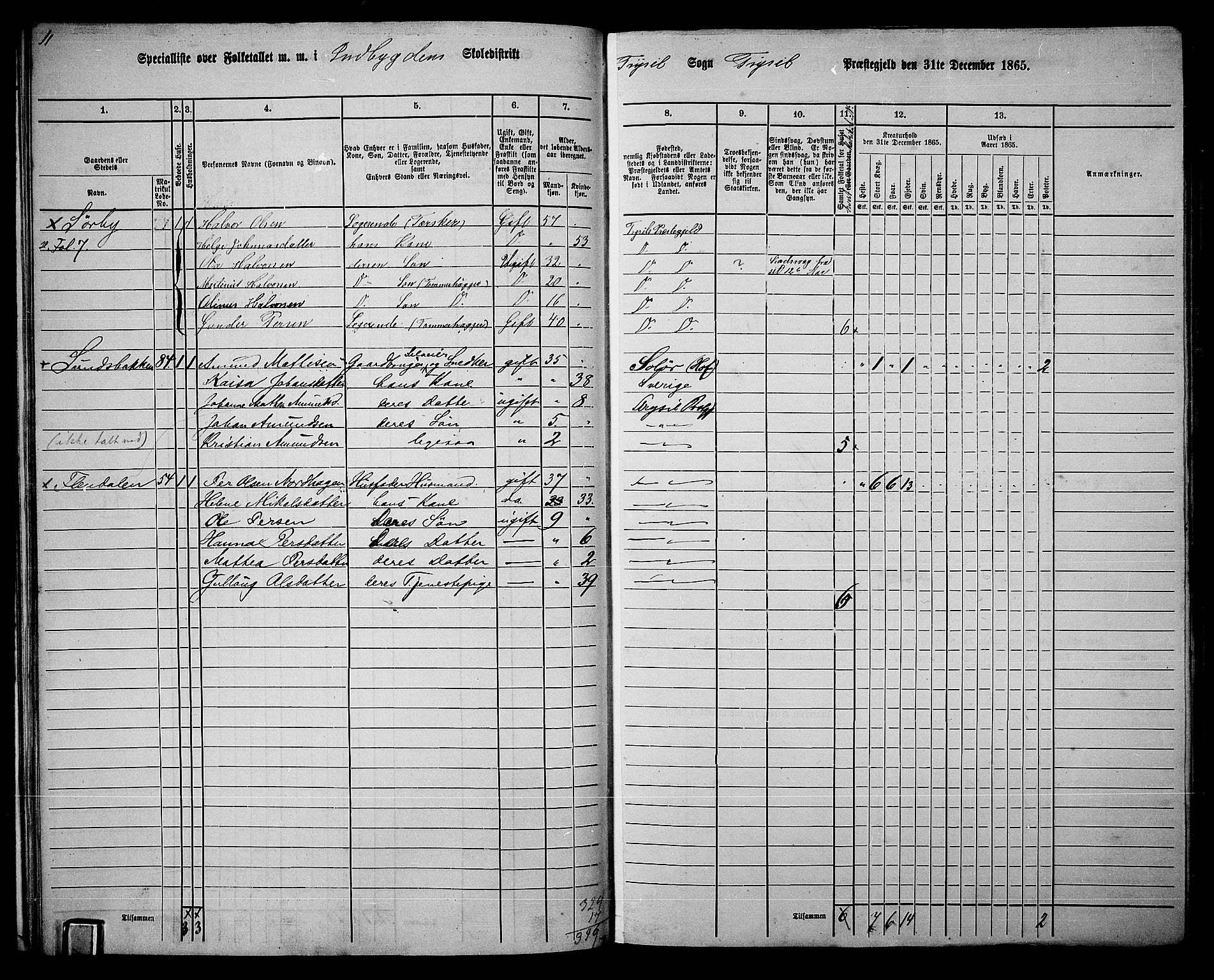 RA, 1865 census for Trysil, 1865, p. 28