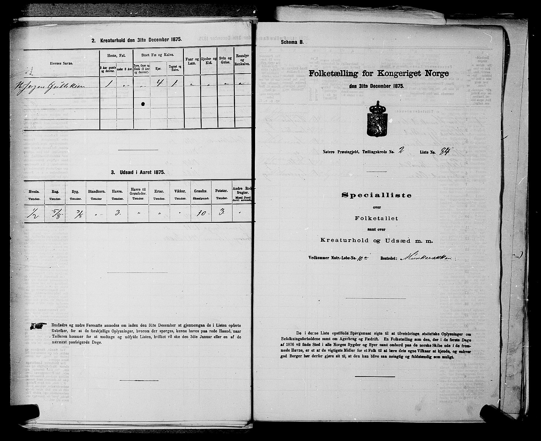 SAKO, 1875 census for 0722P Nøtterøy, 1875, p. 507