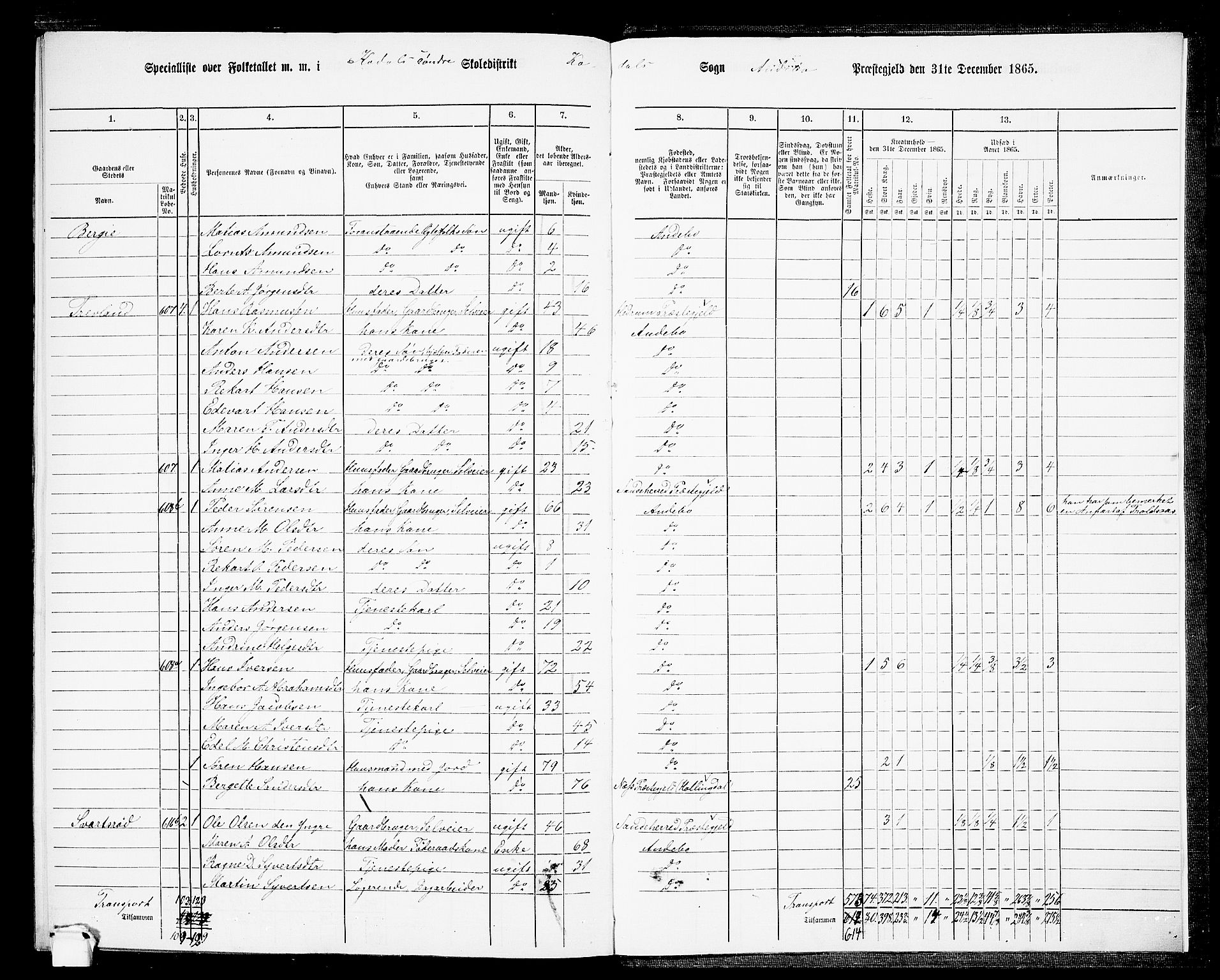 RA, 1865 census for Andebu, 1865, p. 117