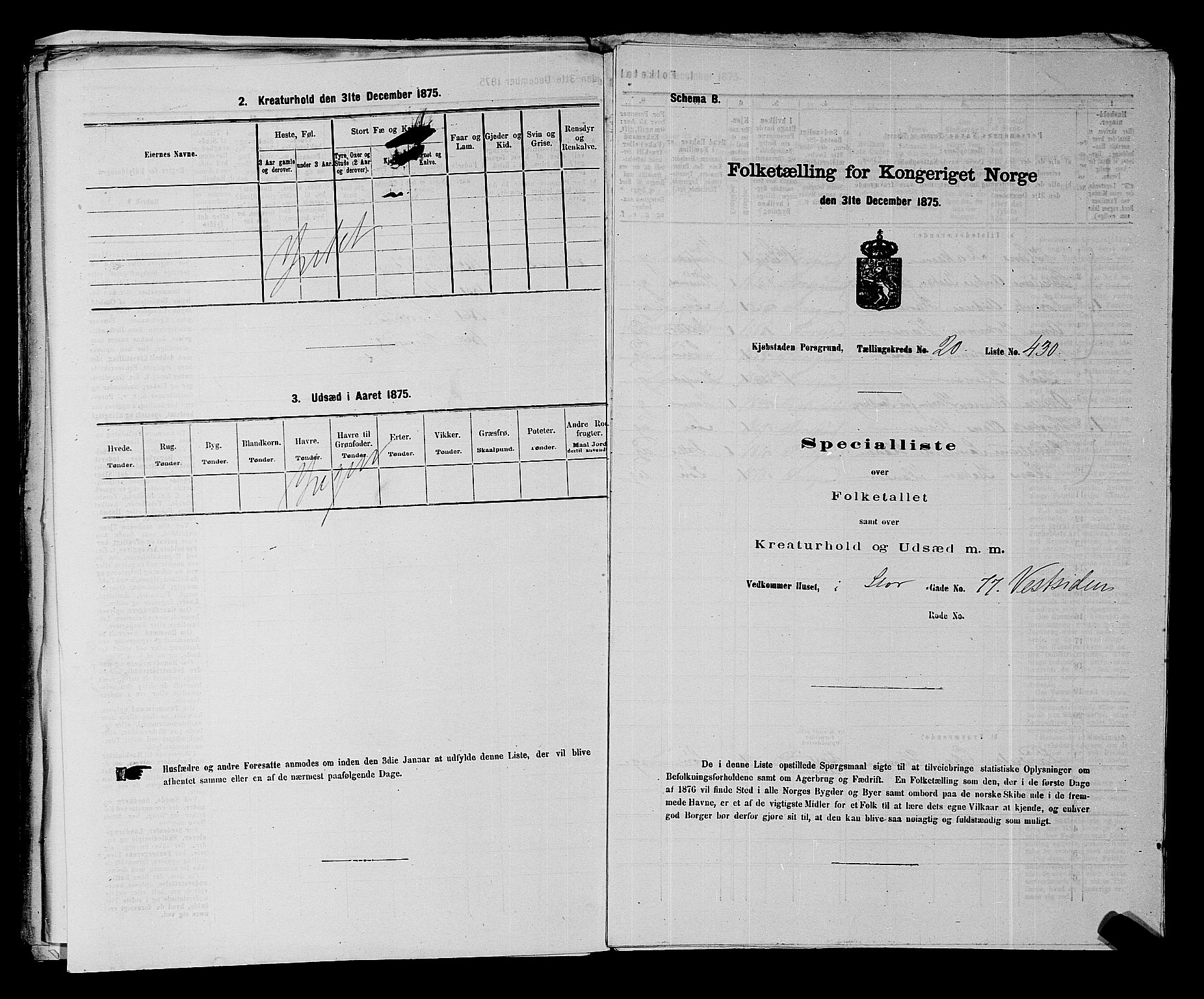 SAKO, 1875 census for 0805P Porsgrunn, 1875, p. 965