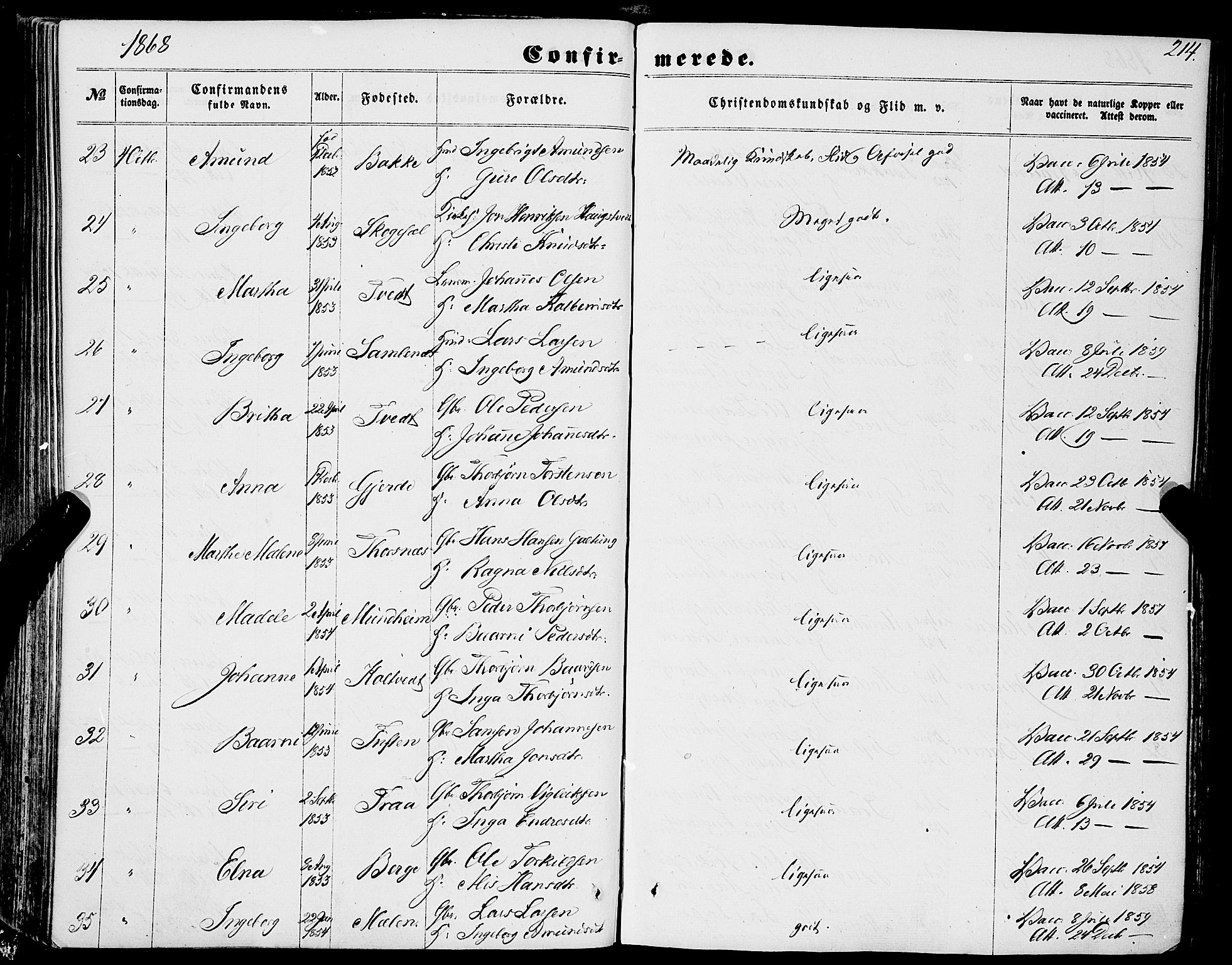 Strandebarm sokneprestembete, AV/SAB-A-78401/H/Haa: Parish register (official) no. A 8, 1858-1872, p. 214