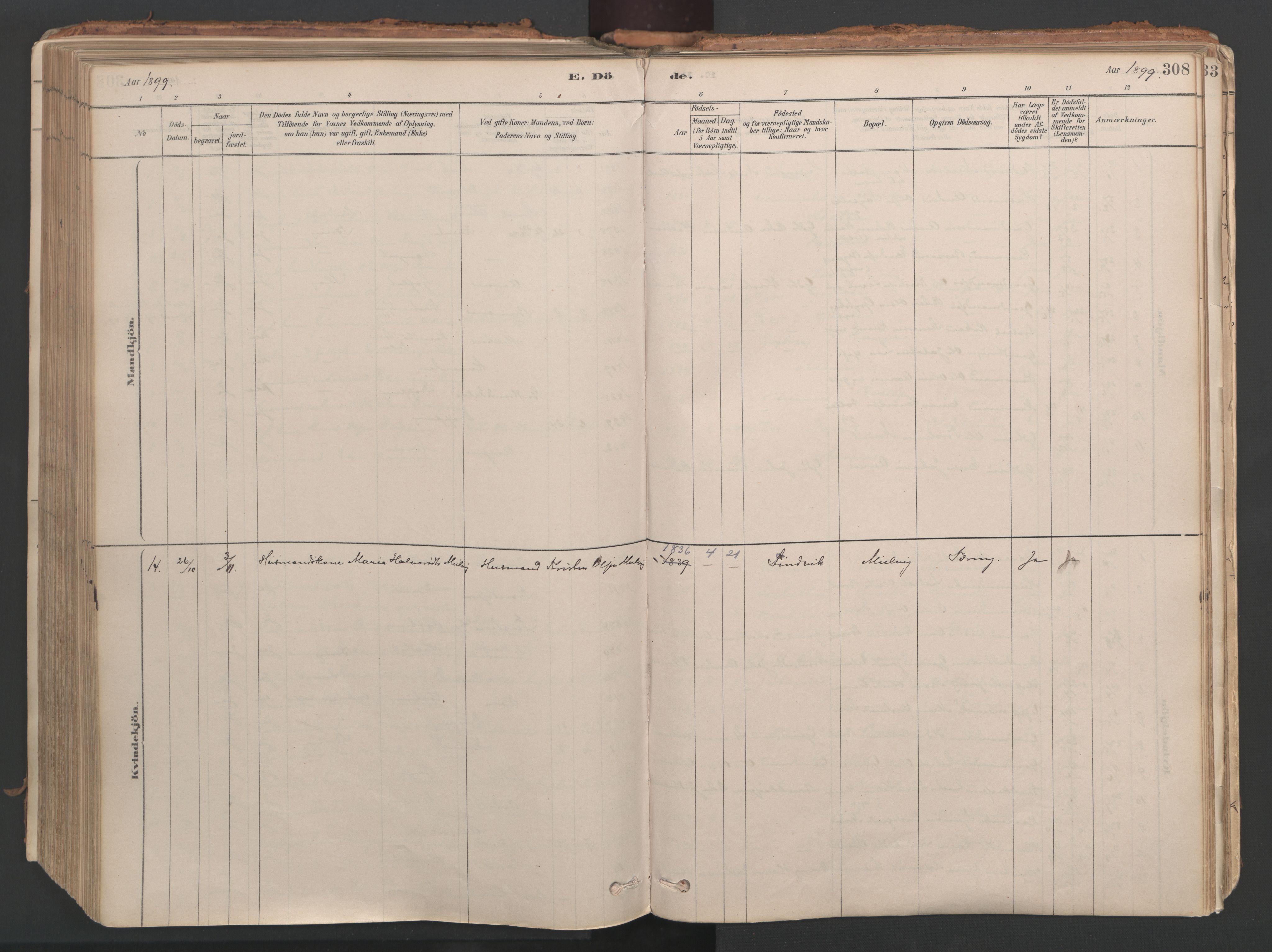 Ministerialprotokoller, klokkerbøker og fødselsregistre - Møre og Romsdal, AV/SAT-A-1454/592/L1029: Parish register (official) no. 592A07, 1879-1902, p. 308