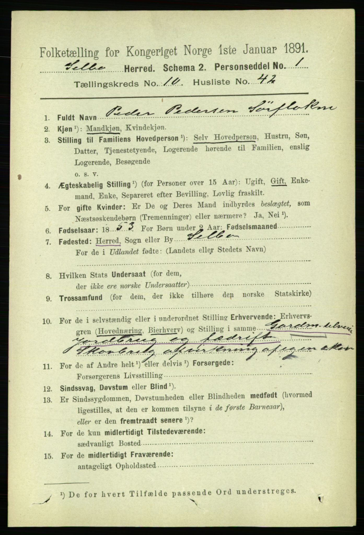 RA, 1891 census for 1664 Selbu, 1891, p. 3919