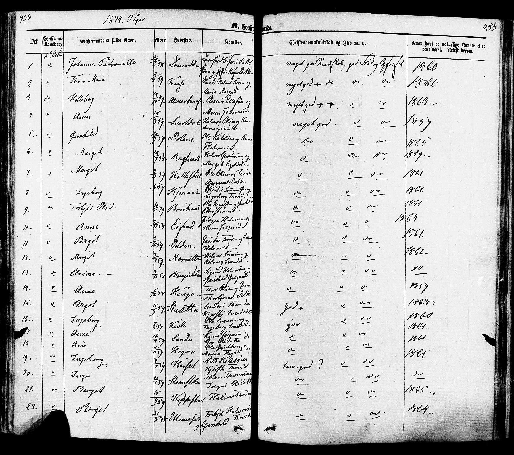 Seljord kirkebøker, AV/SAKO-A-20/F/Fa/L0013: Parish register (official) no. I 13, 1866-1876, p. 436-437