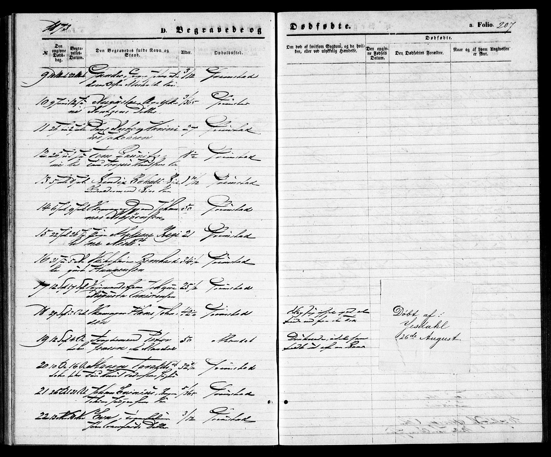Grimstad sokneprestkontor, SAK/1111-0017/F/Fa/L0002: Parish register (official) no. A 1, 1869-1881, p. 207
