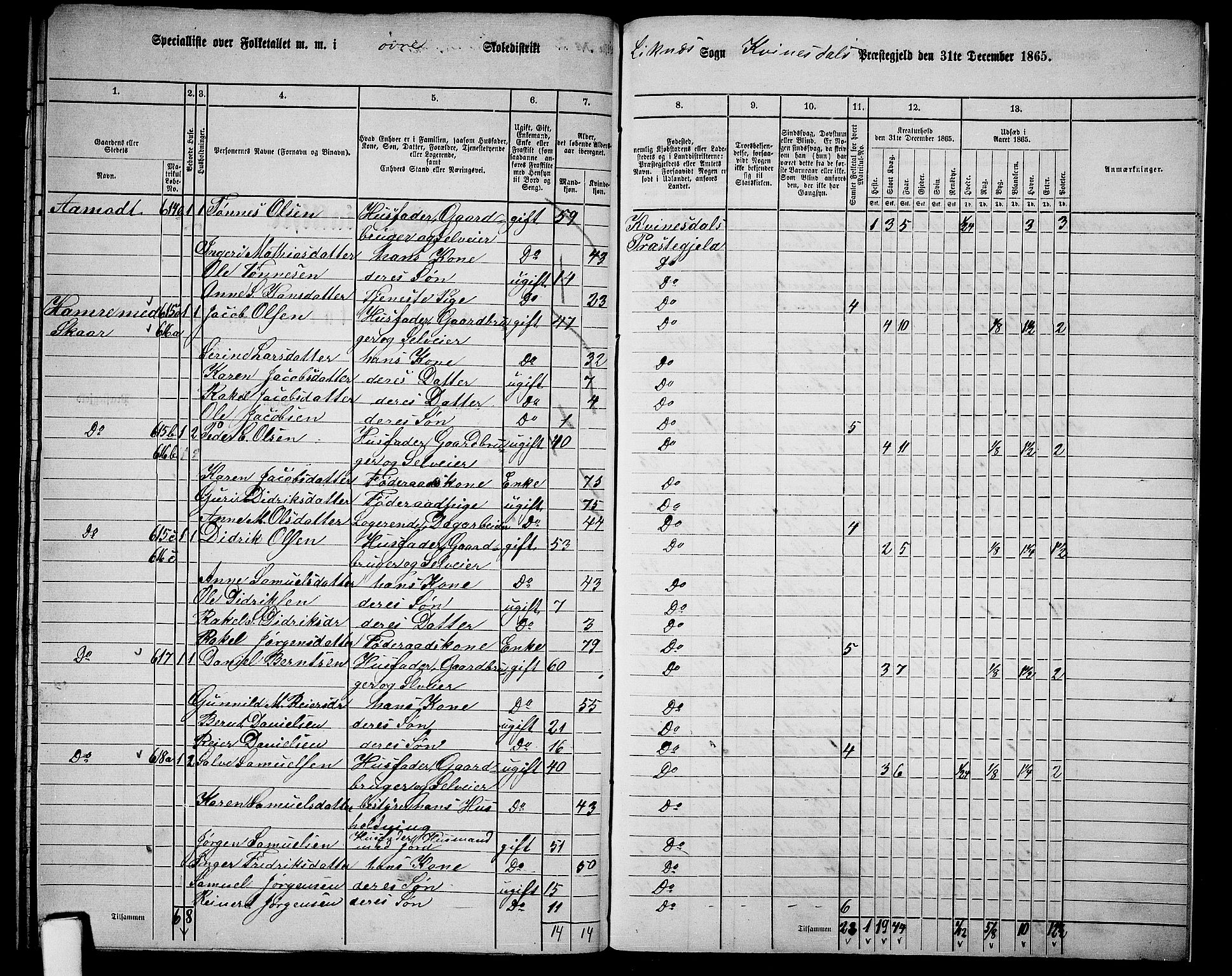 RA, 1865 census for Kvinesdal, 1865, p. 173