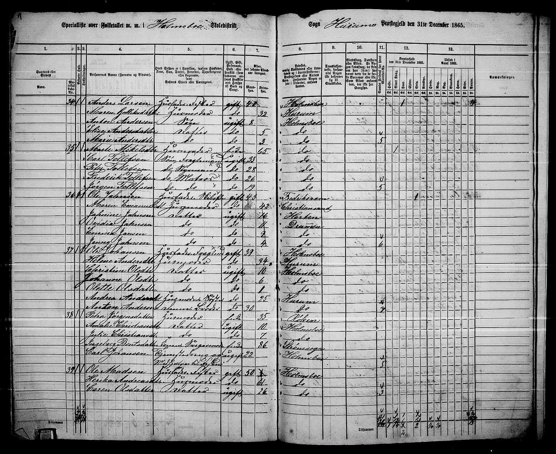 RA, 1865 census for Hurum, 1865, p. 113