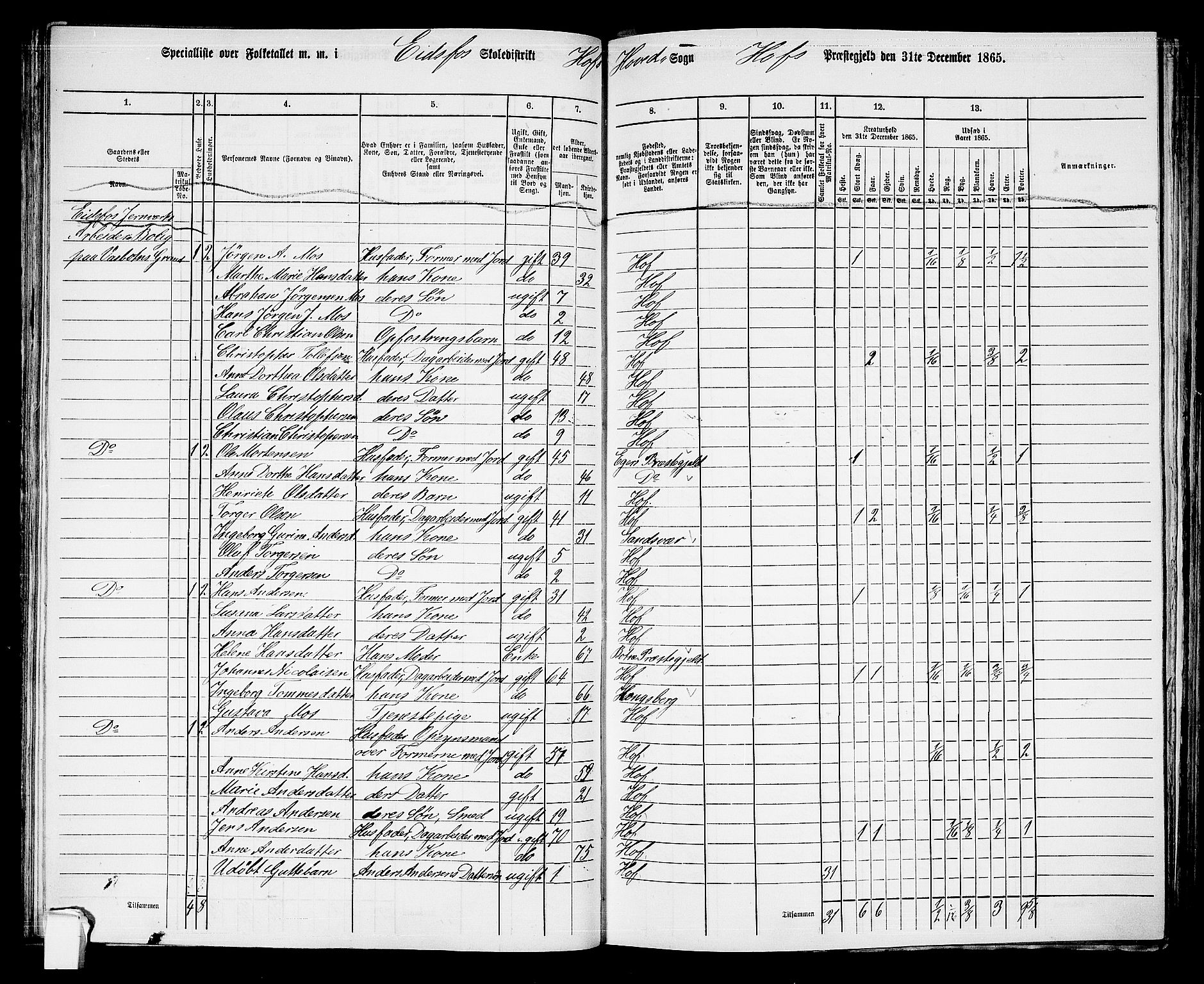 RA, 1865 census for Hof, 1865, p. 83