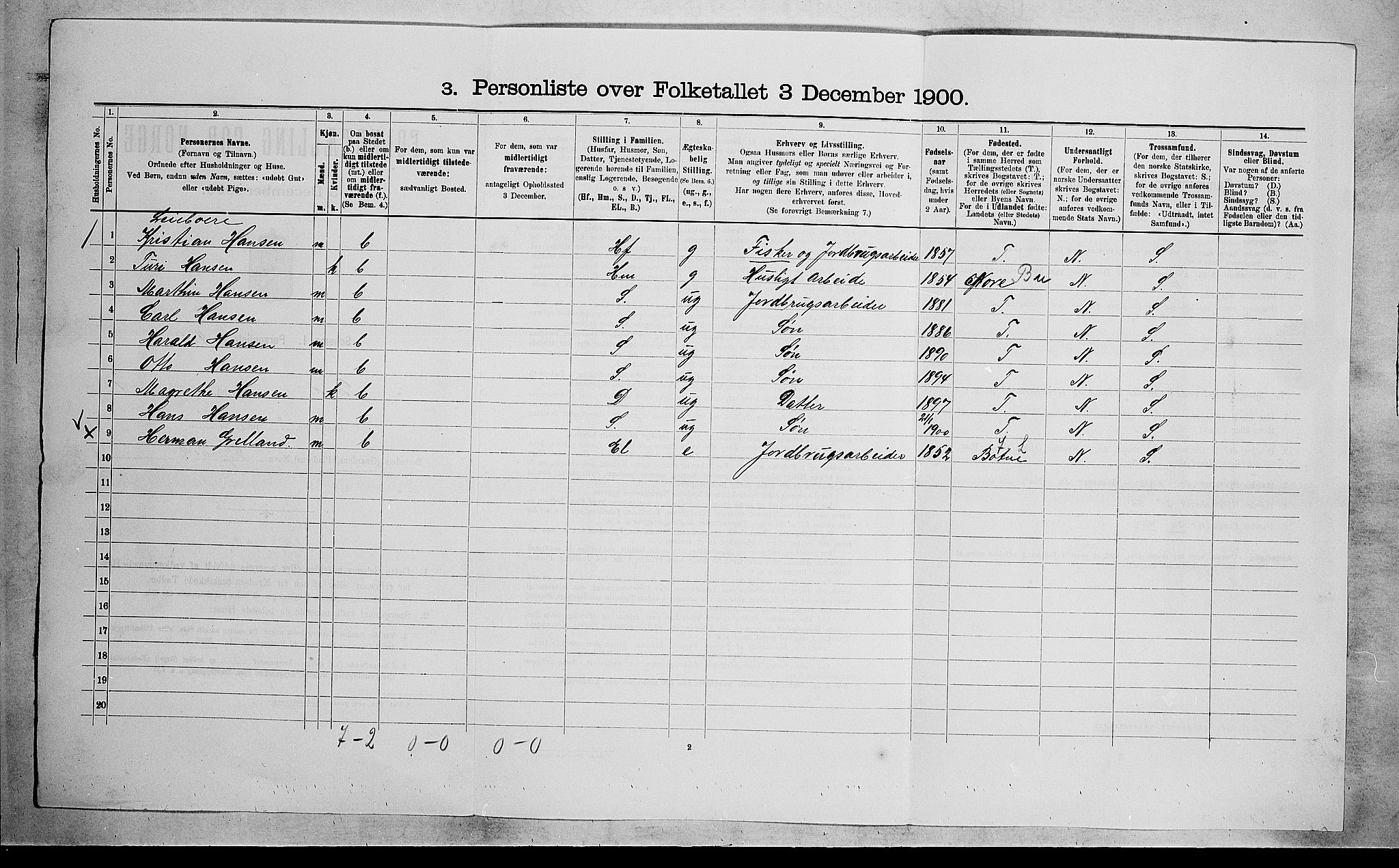 RA, 1900 census for Sande, 1900, p. 113